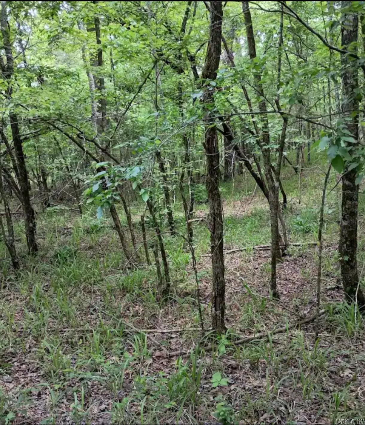 Tbd Pleasant Point Property Photo 42