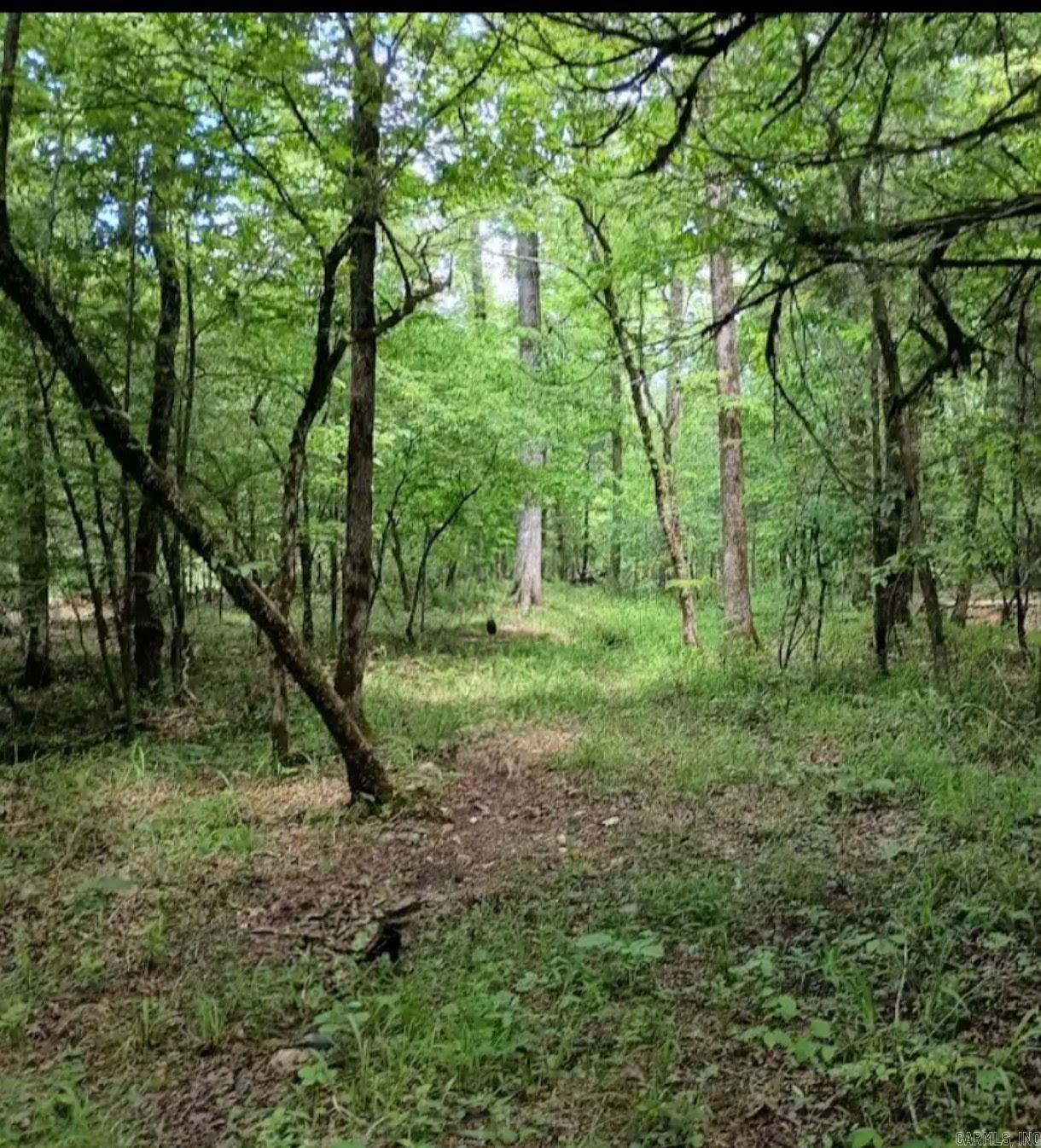 Tbd Pleasant Point Property Photo 43
