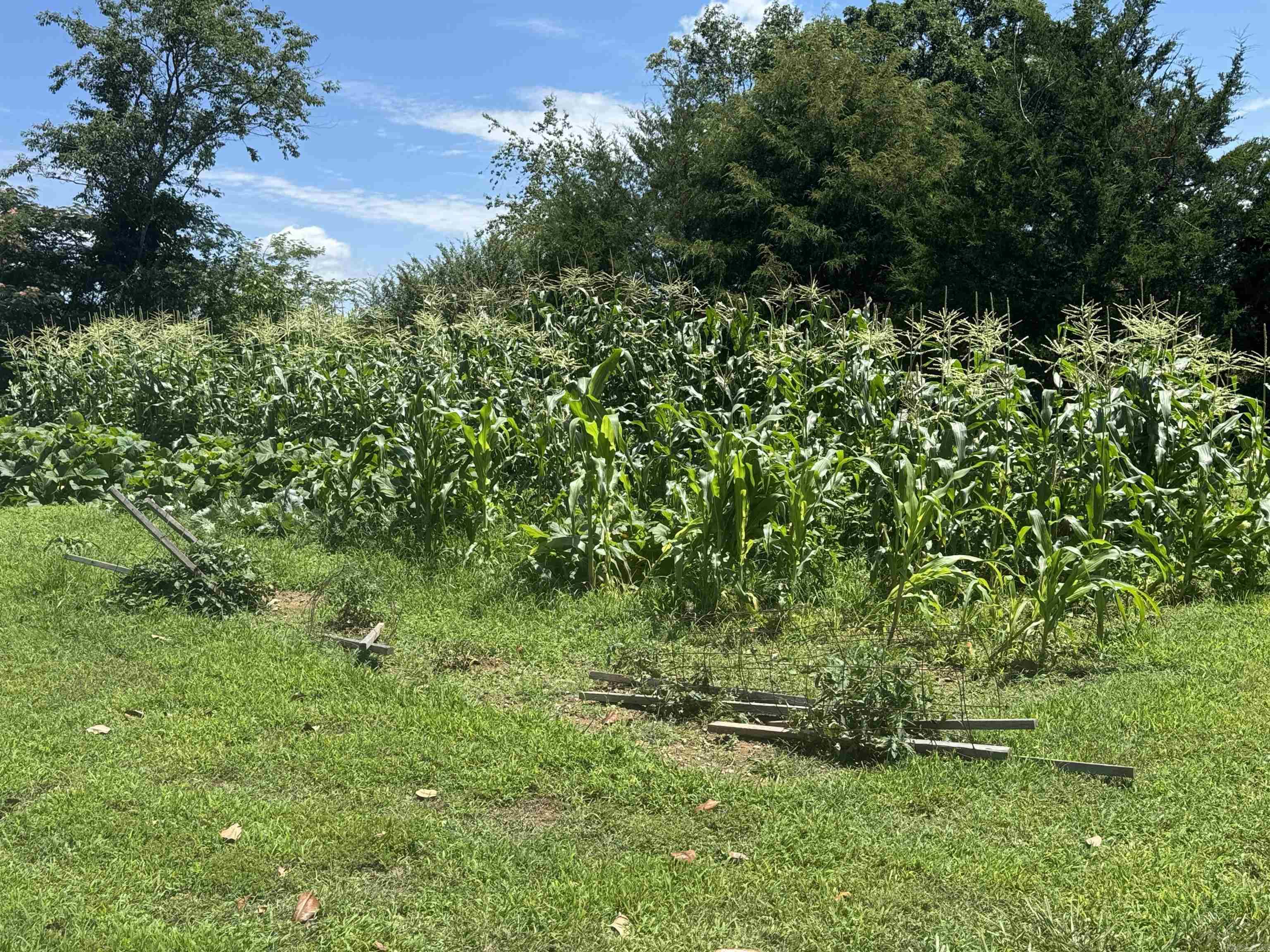 4194 Prim Road Property Photo 21