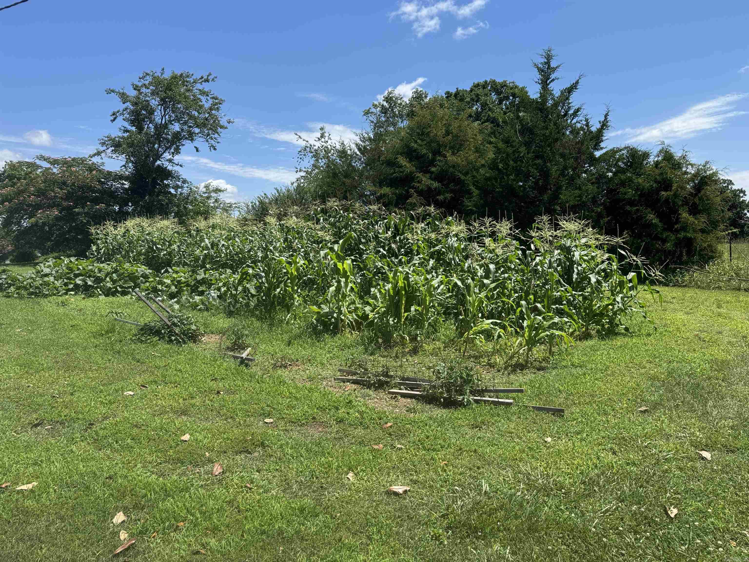 4194 Prim Road Property Photo 24