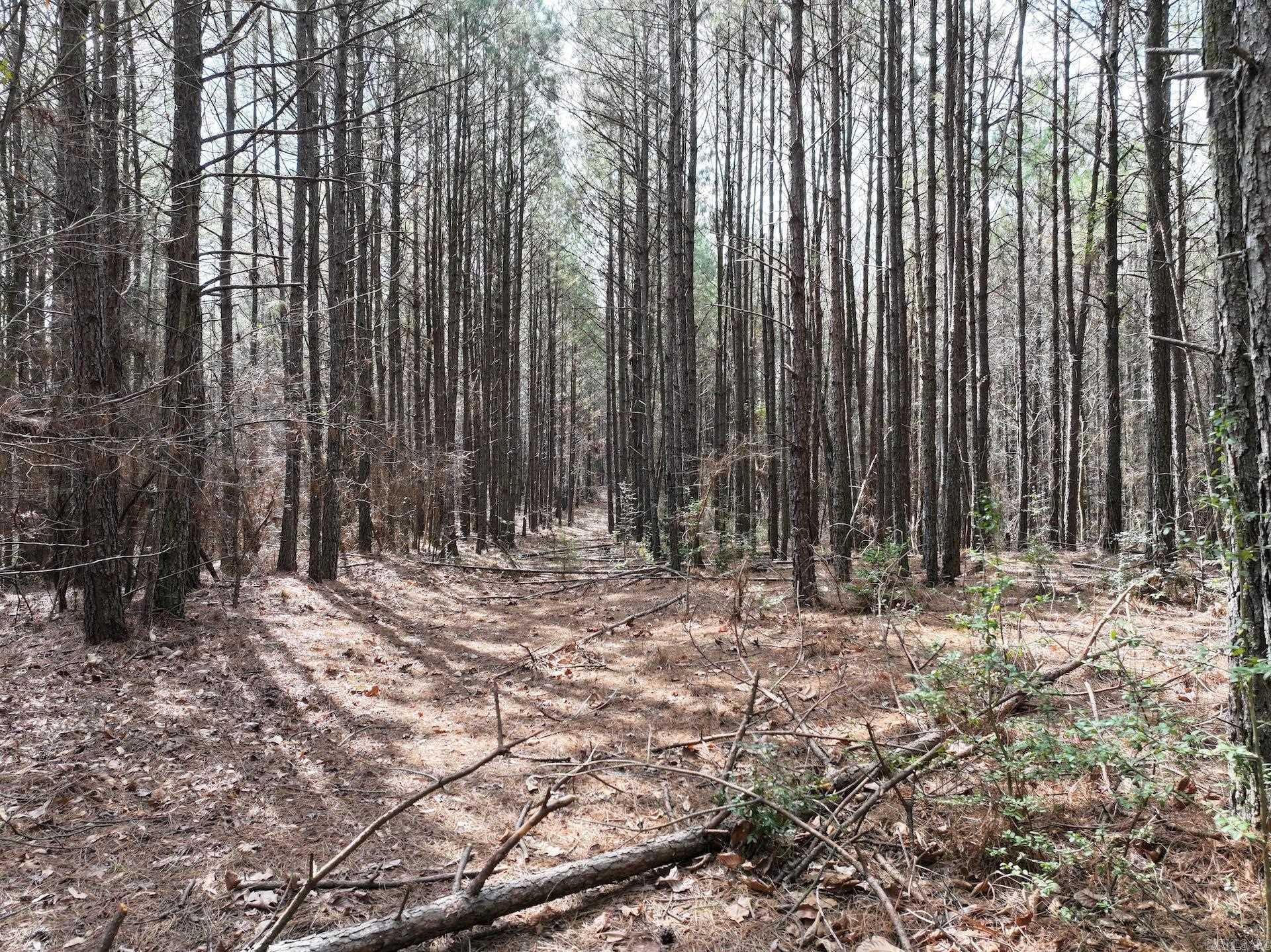 Xxx J Dunson Road Property Photo 33