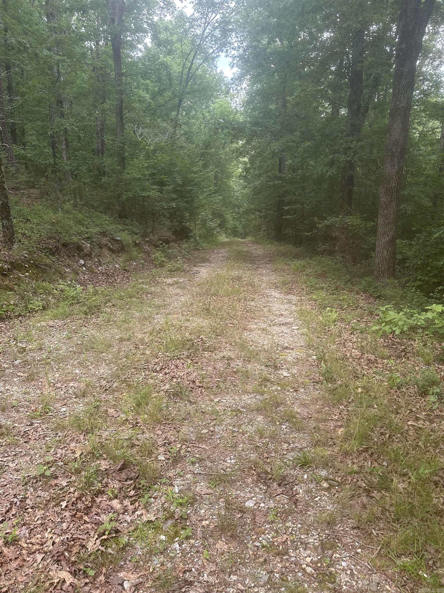 Tract 6 Whispering Wood Cove Property Photo 6