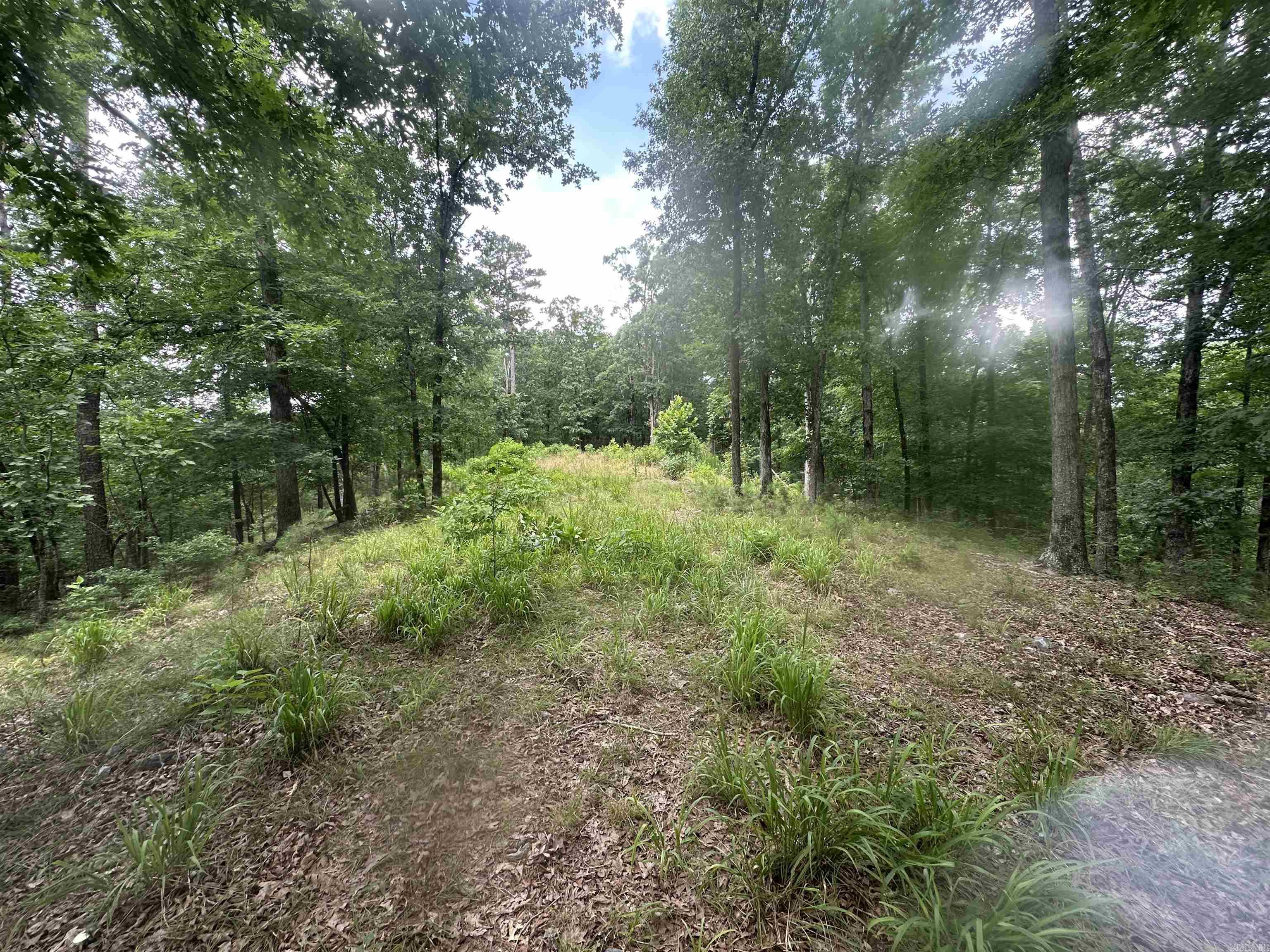 Tract 6 Whispering Wood Cove Property Photo 7