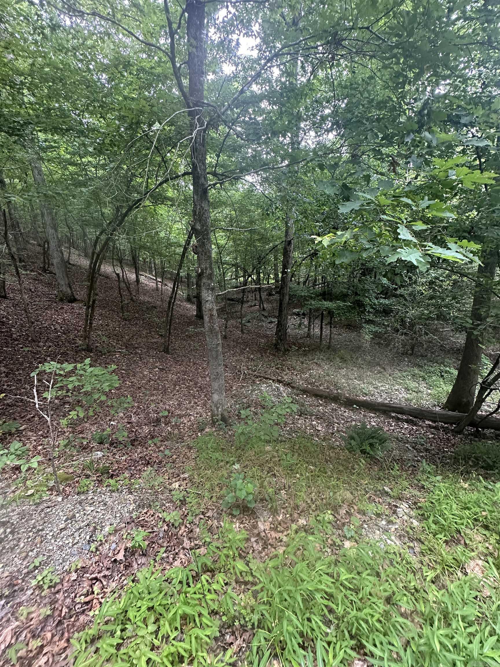 Tract 6 Whispering Wood Cove Property Photo 8