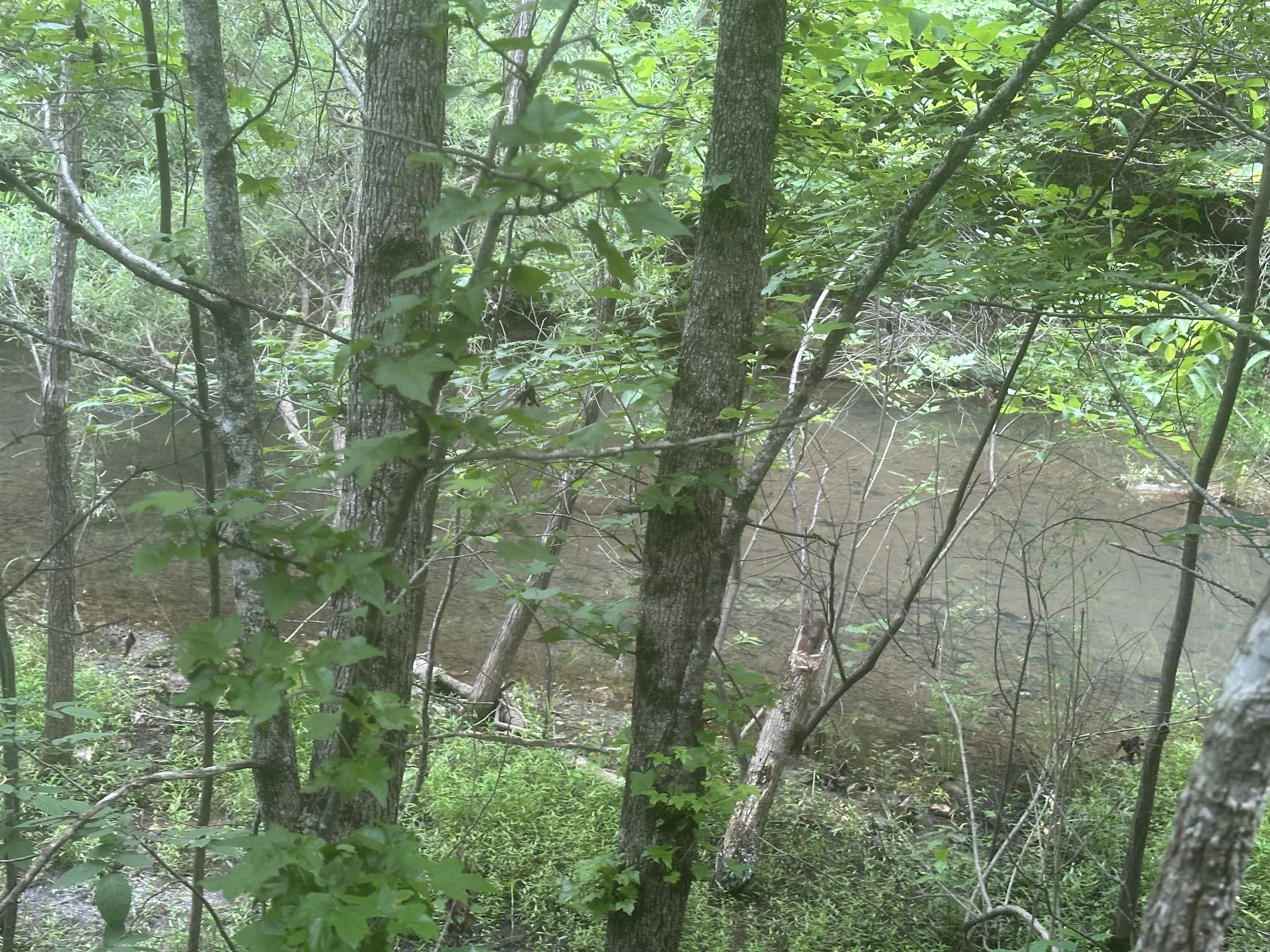 Tract 6 Whispering Wood Cove Property Photo 10