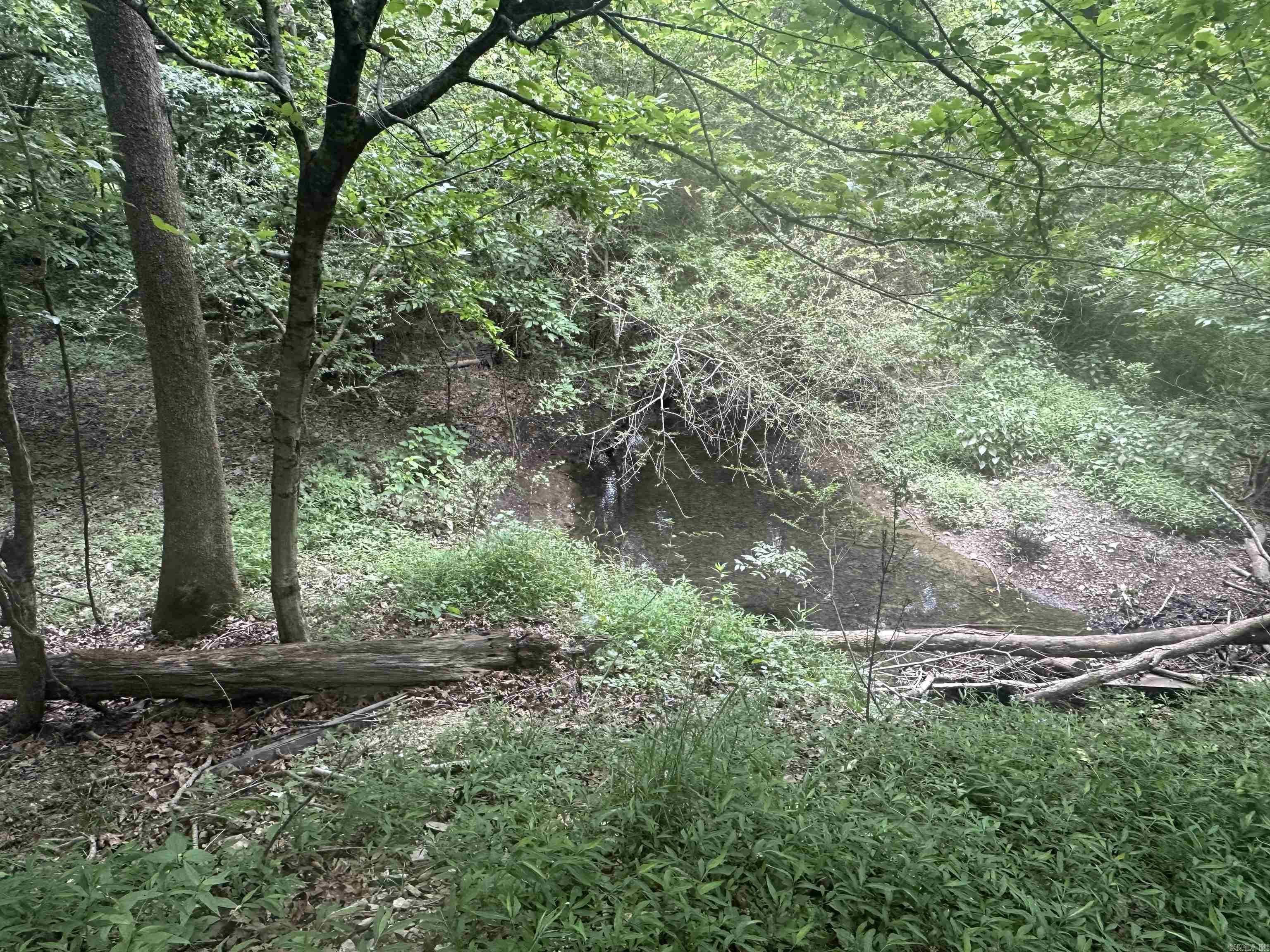 Tract 6 Whispering Wood Cove Property Photo 11