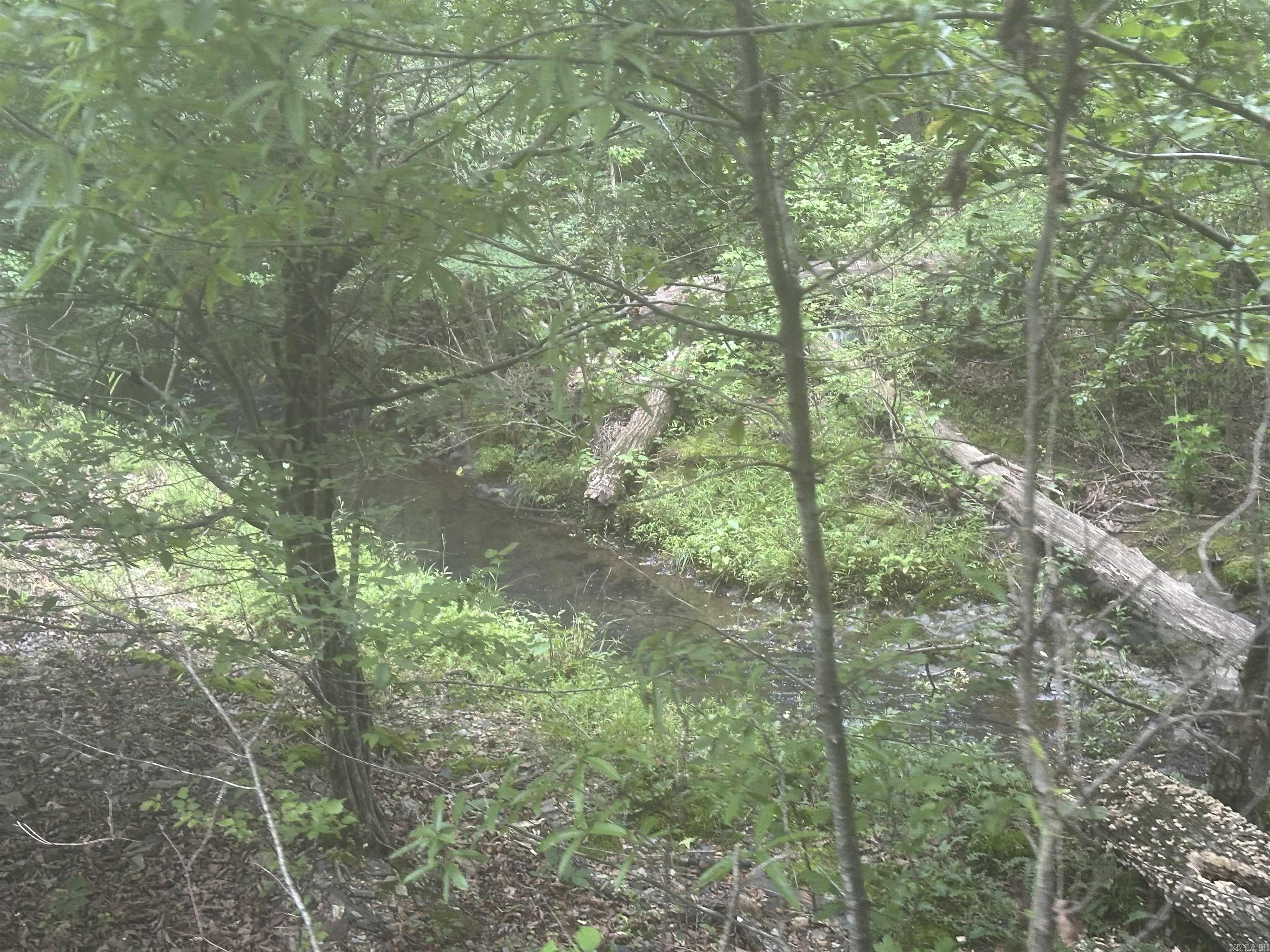 Tract 6 Whispering Wood Cove Property Photo 12