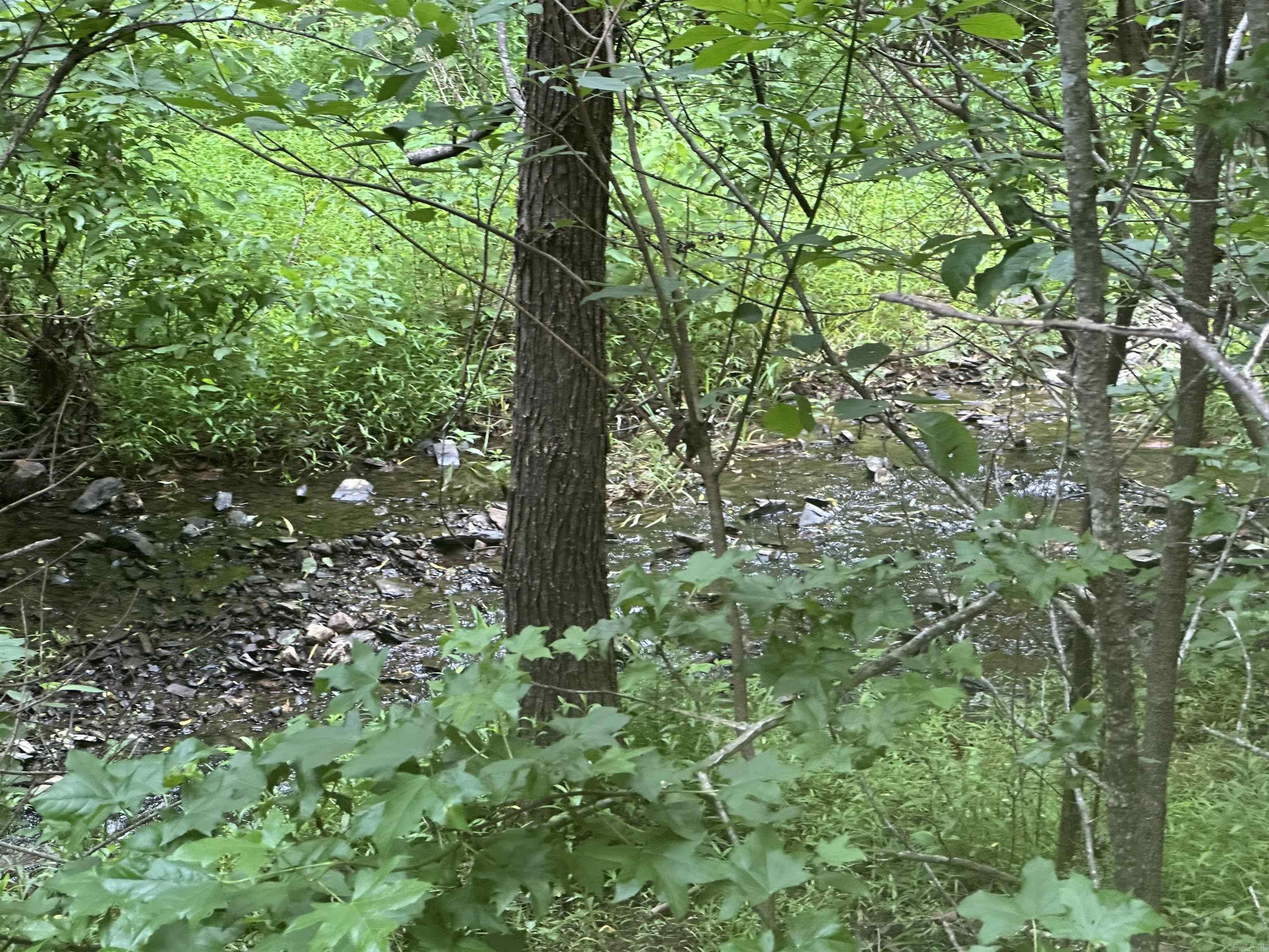 Tract 6 Whispering Wood Cove Property Photo 13