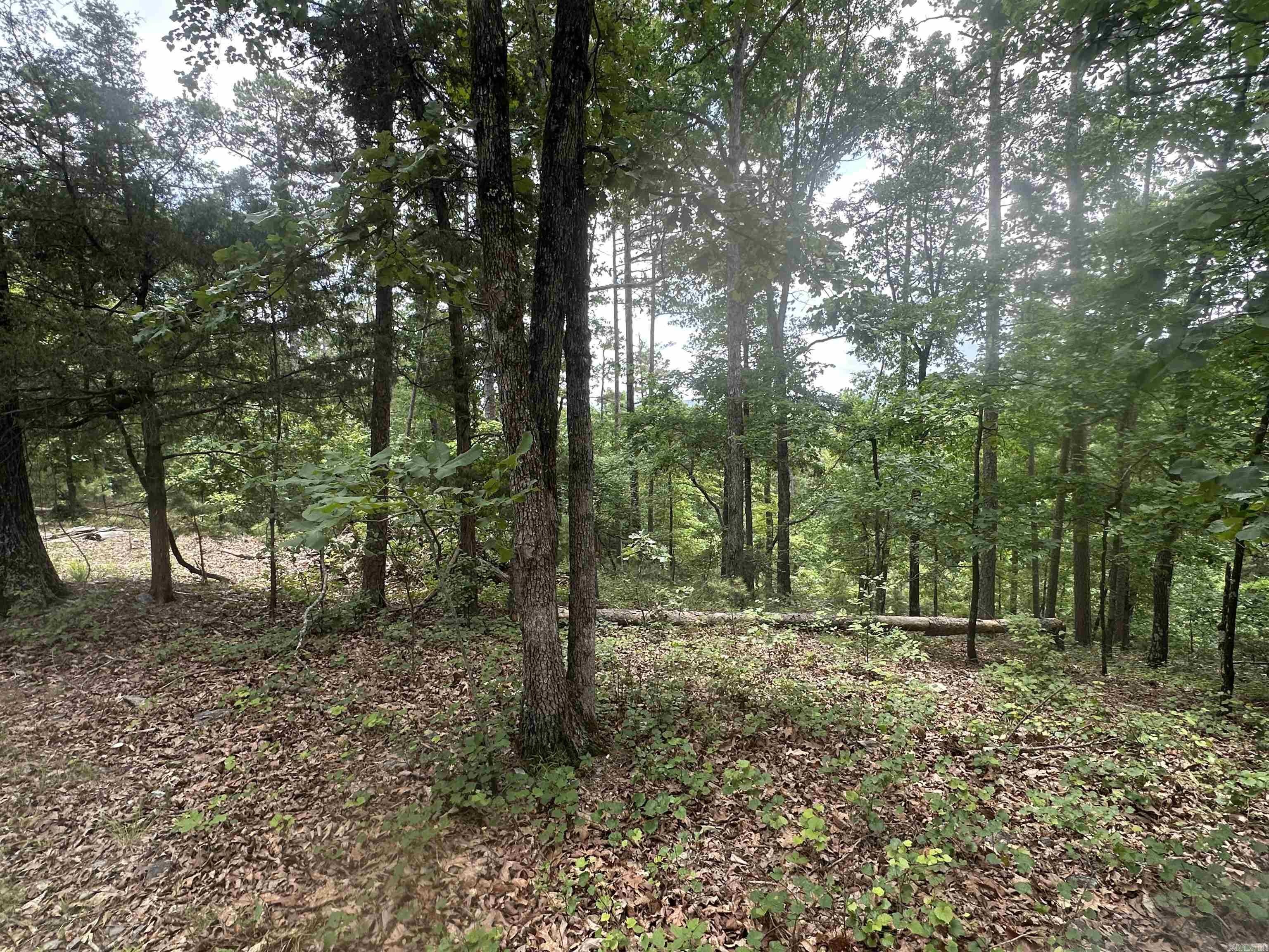 Tract 6 Whispering Wood Cove Property Photo 14