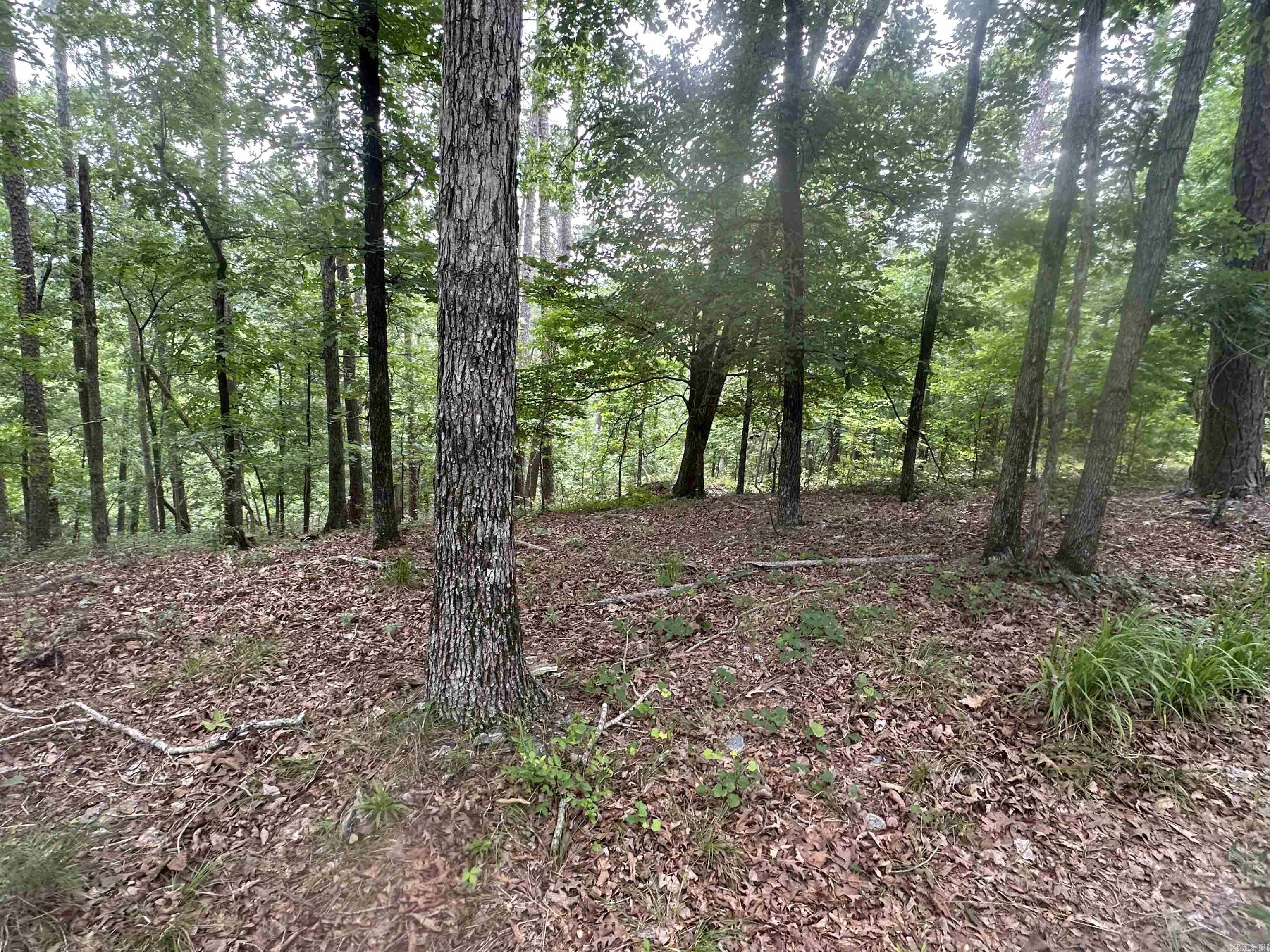 Tract 6 Whispering Wood Cove Property Photo 15