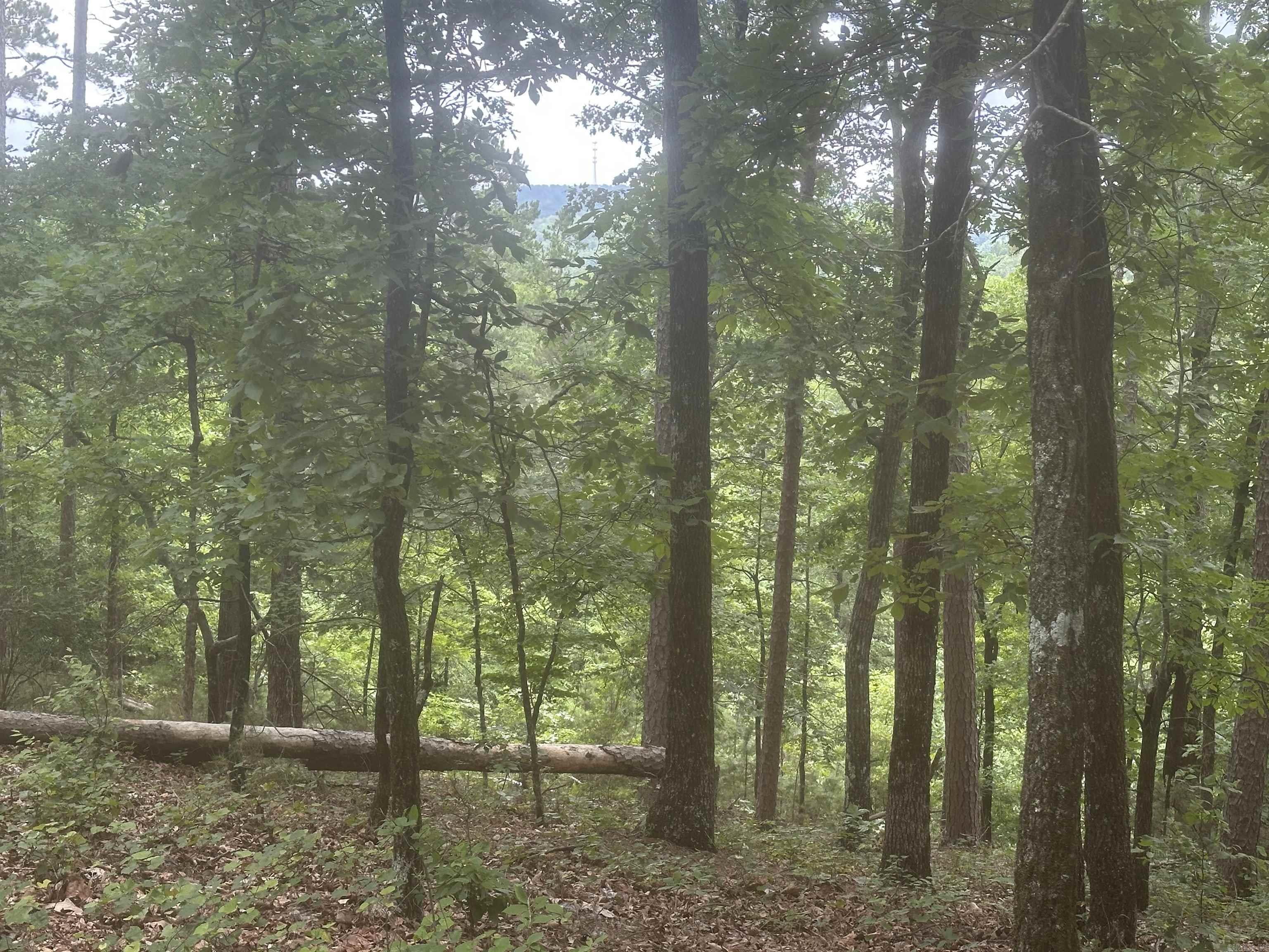 Tract 6 Whispering Wood Cove Property Photo 17