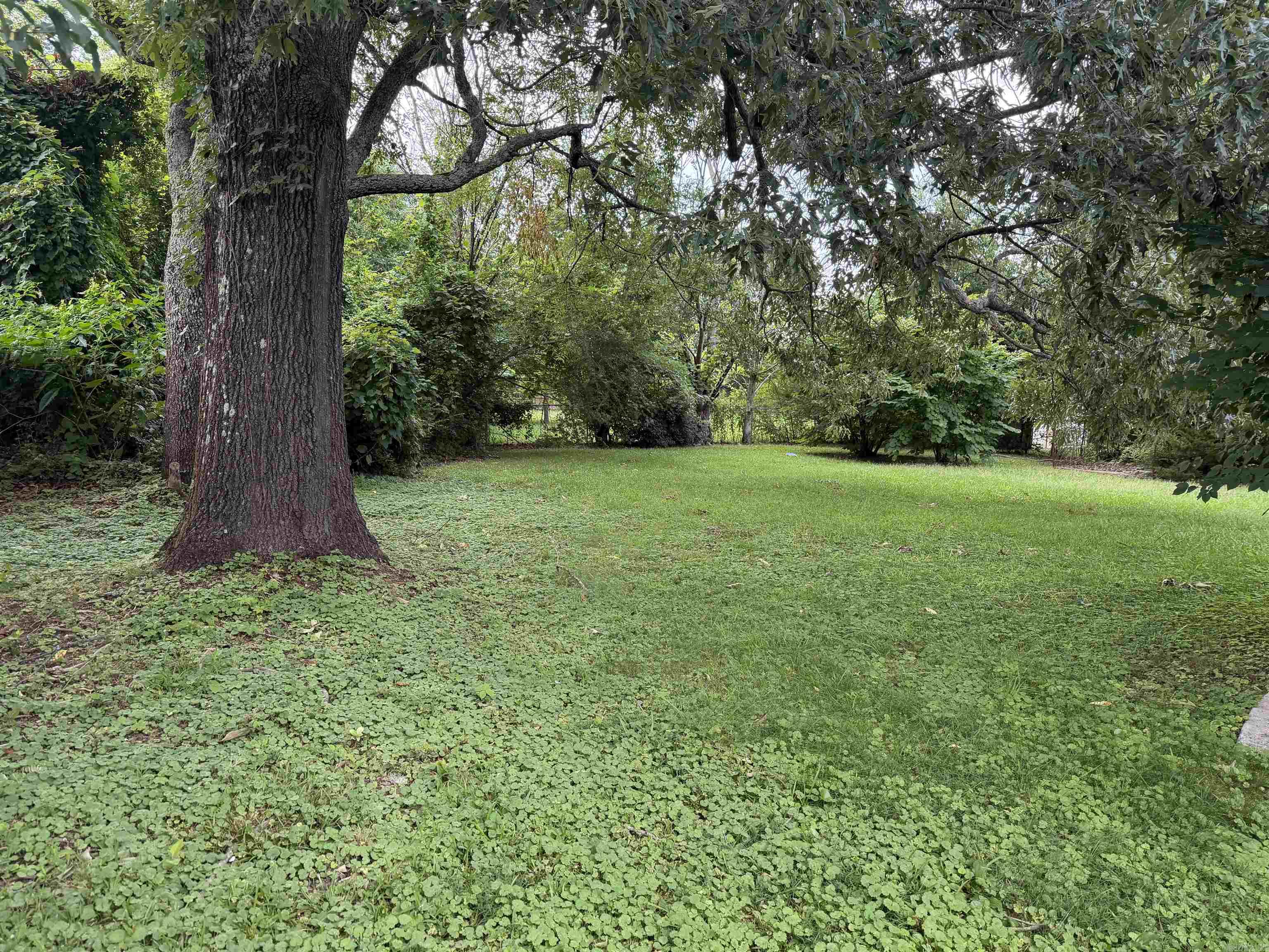 506 S Eve Property Photo 3