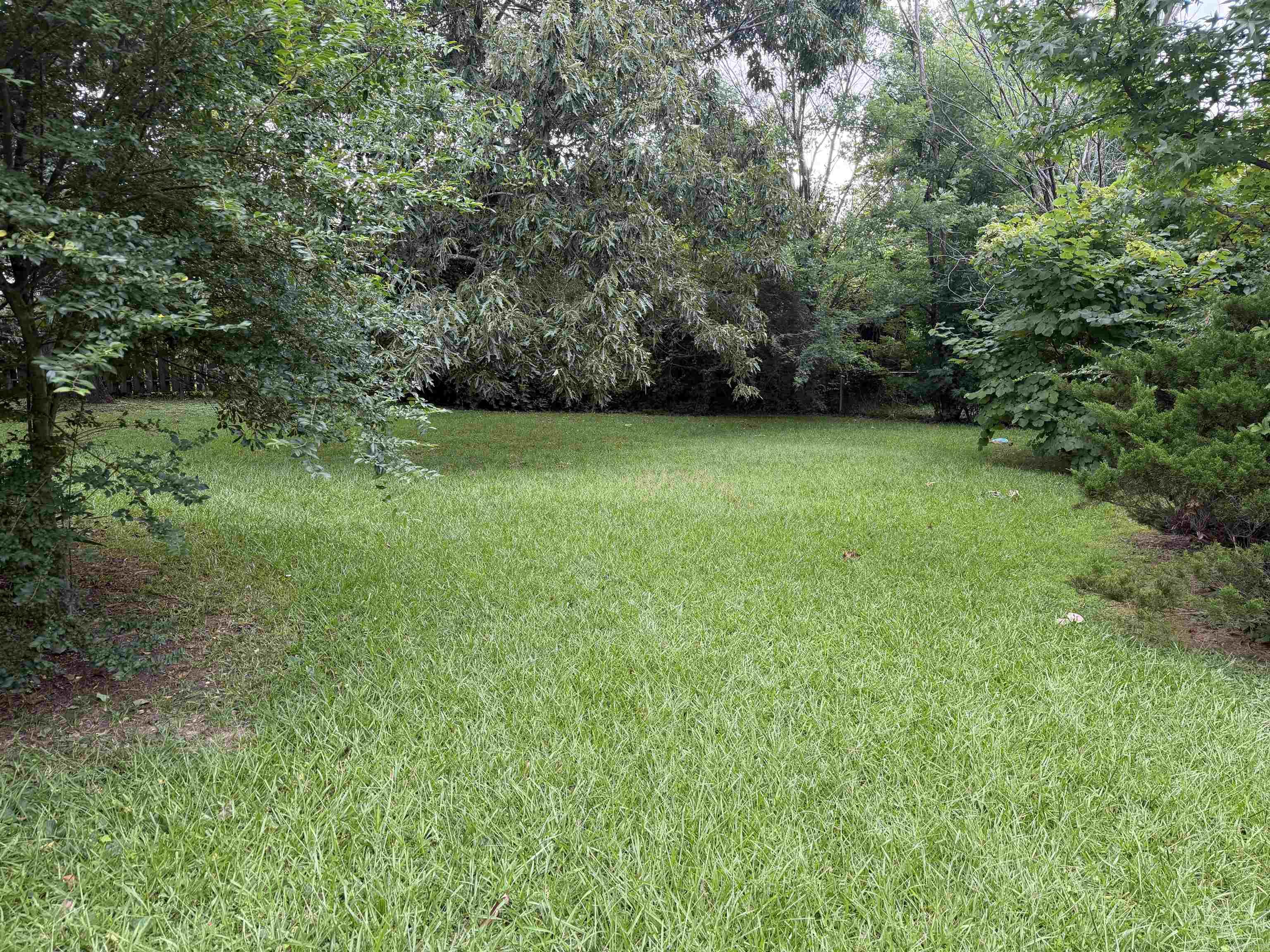 506 S Eve Property Photo 9