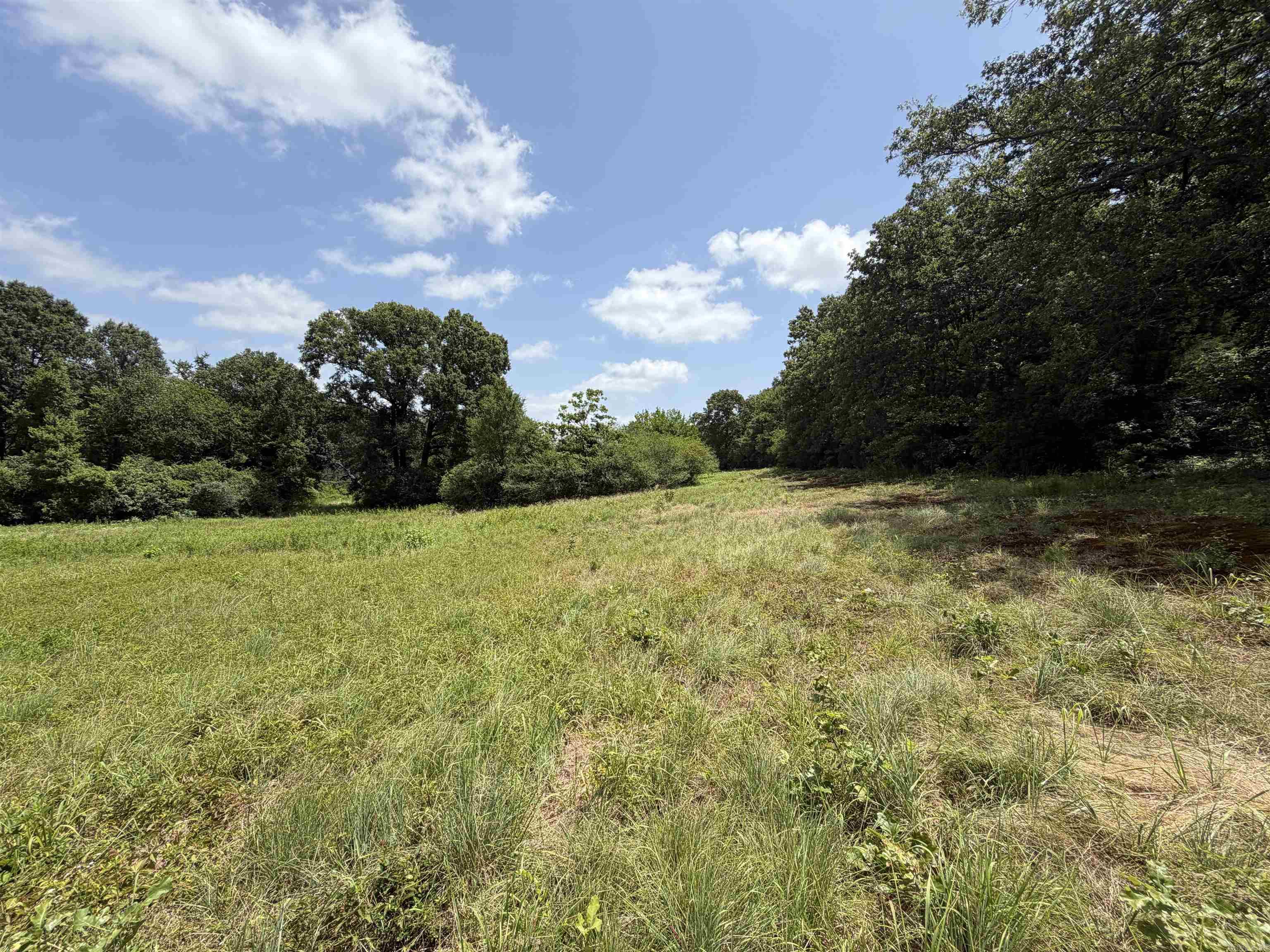 107 Hwy 107 Highway Property Photo 4