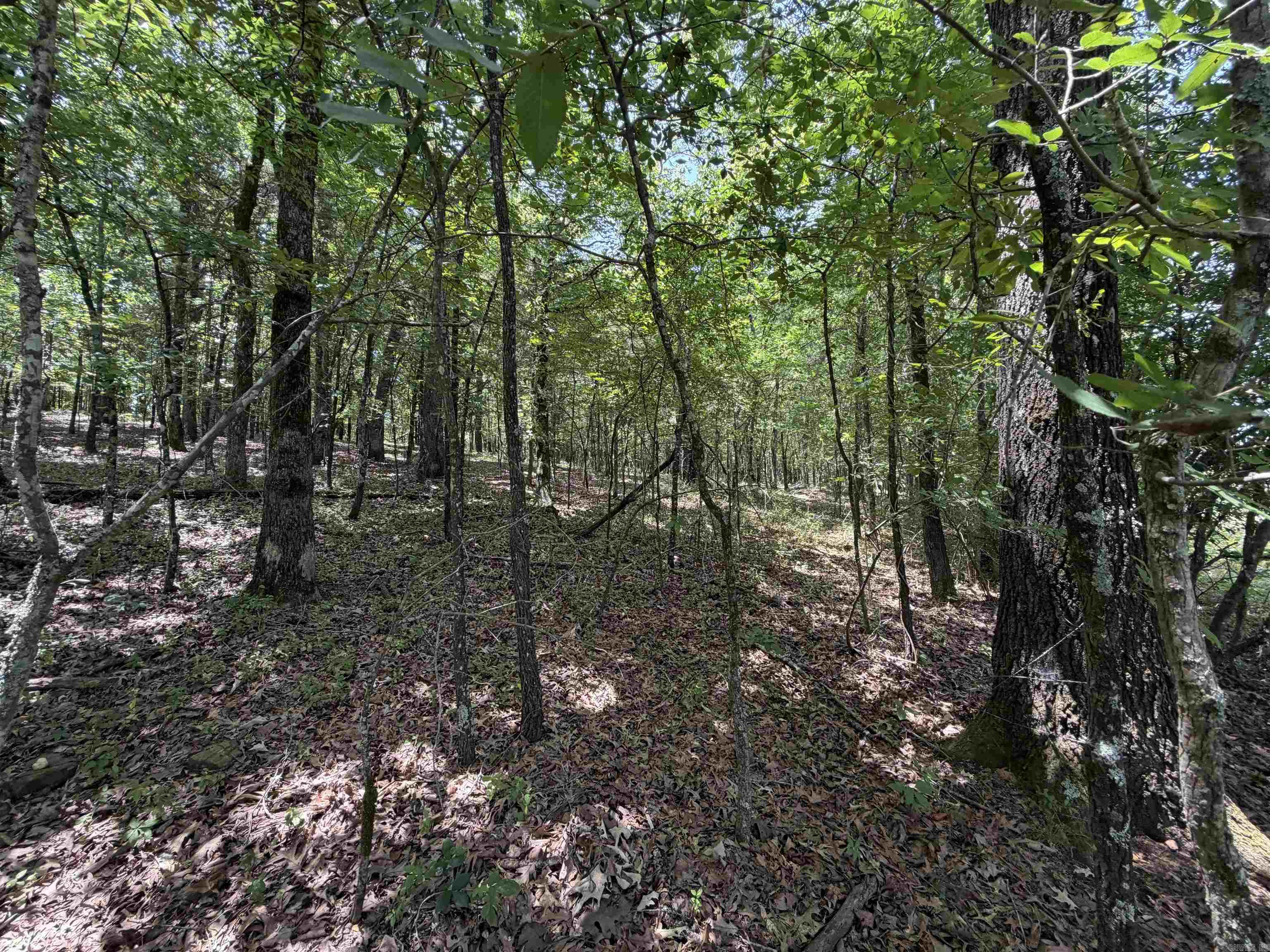 107 Hwy 107 Highway Property Photo 6