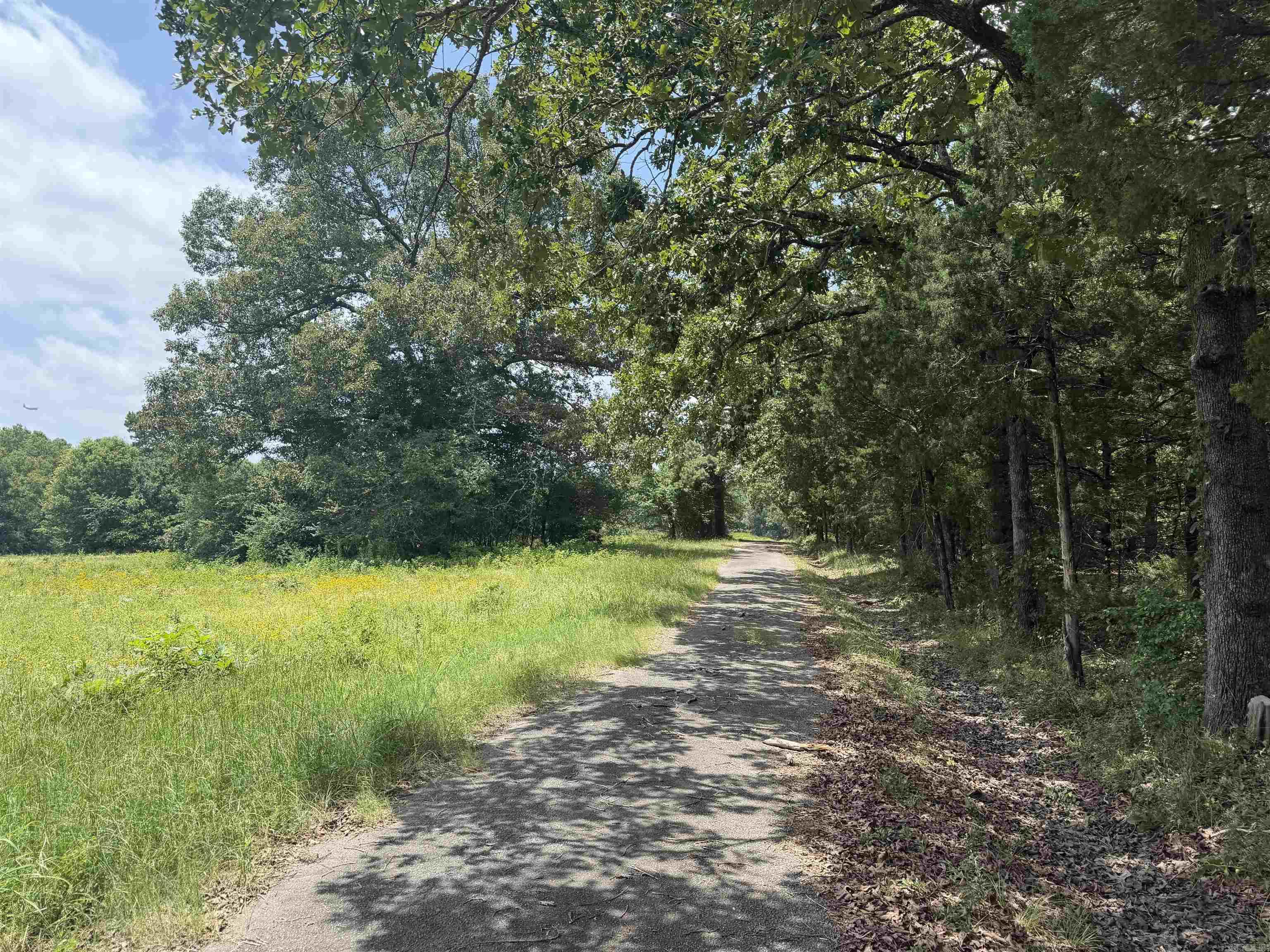 107 Hwy 107 Highway Property Photo 8