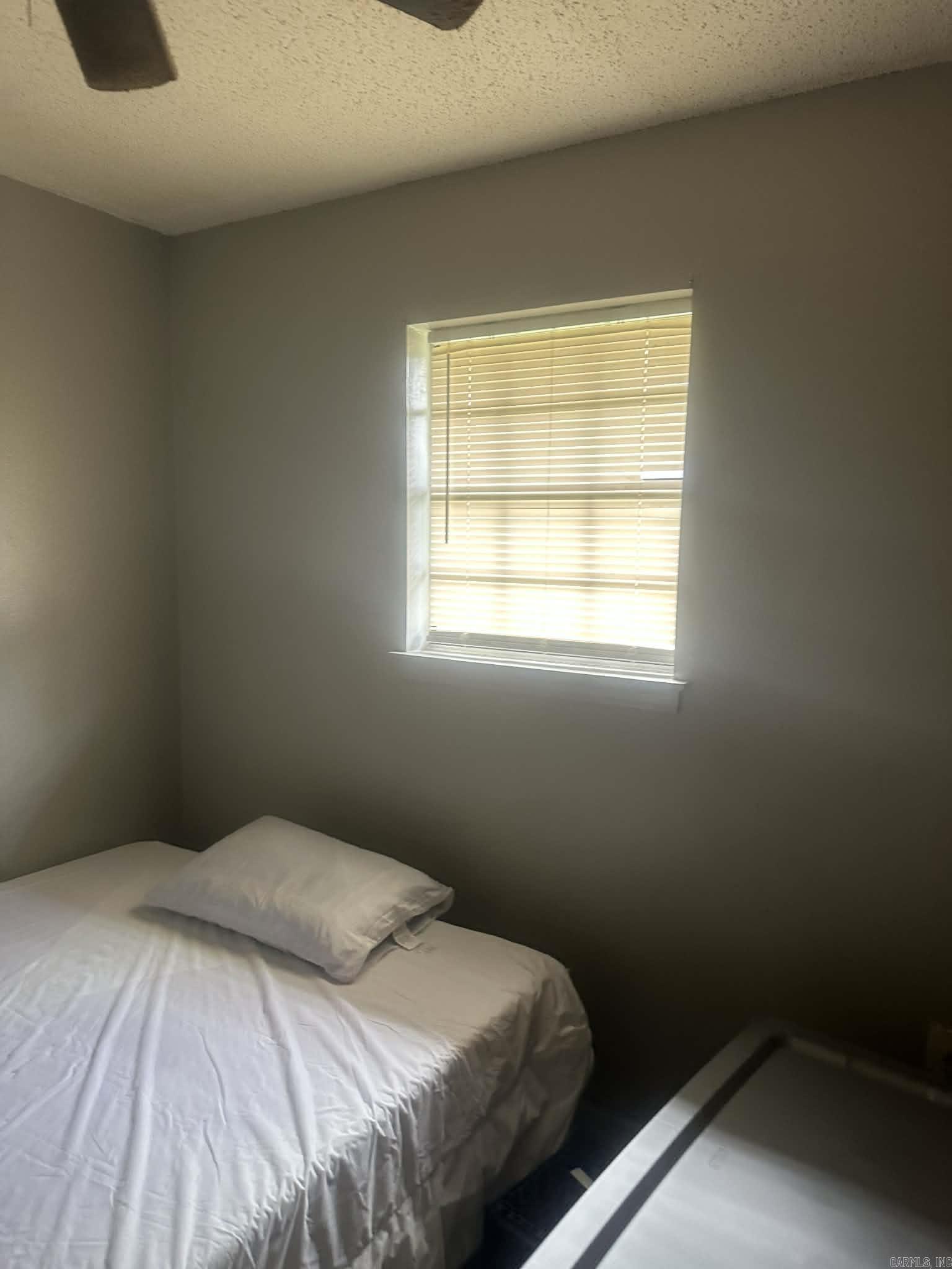 1717 S Olive Street Property Photo 4