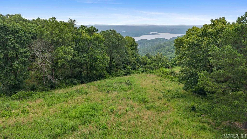 000 E Mountain Road Property Photo 1