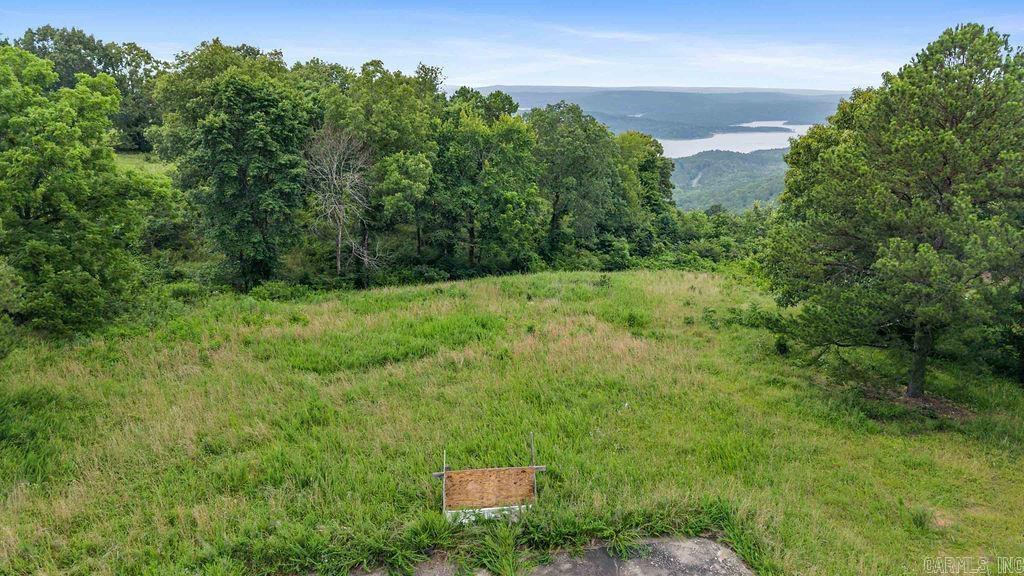 000 E Mountain Road Property Photo 9