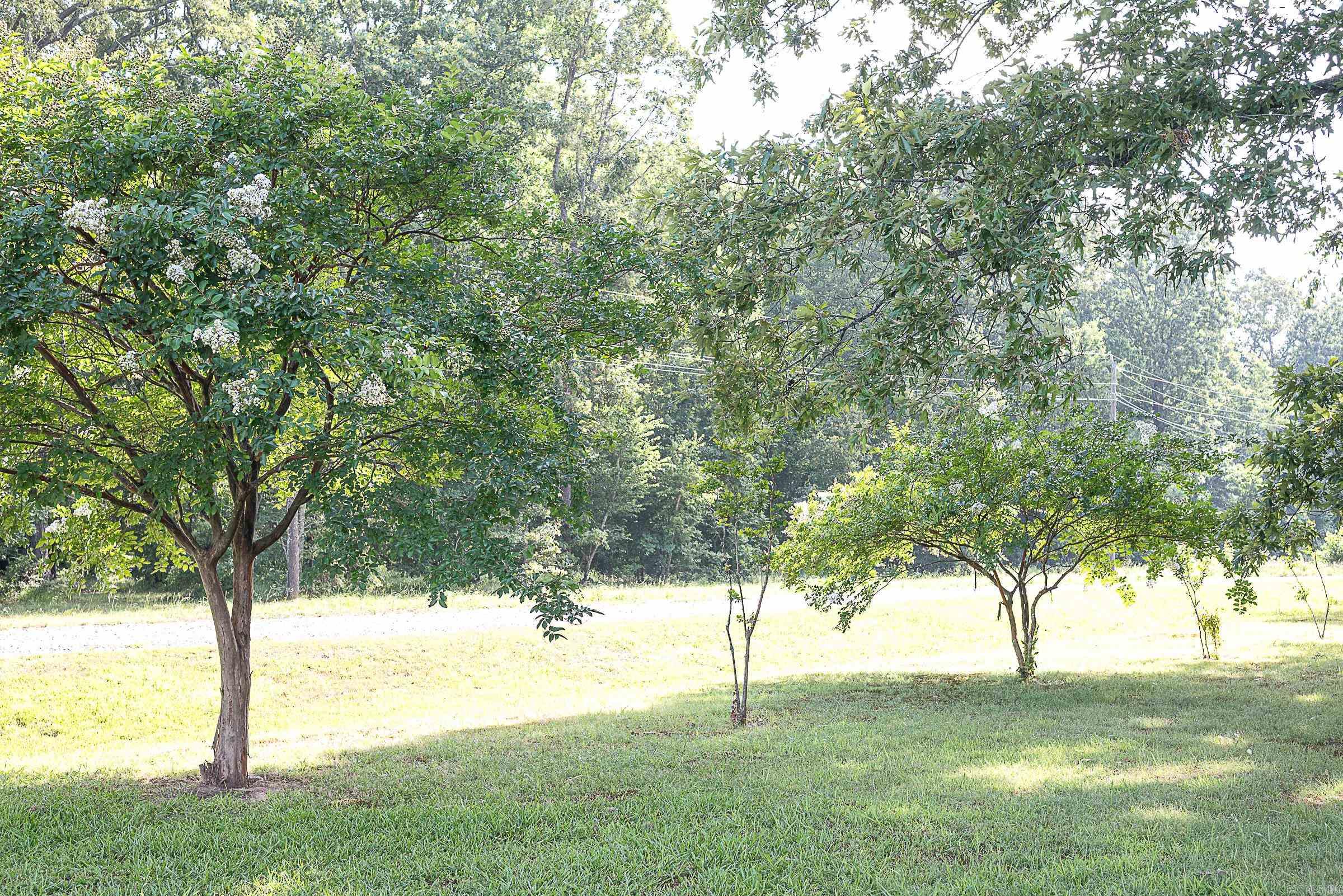 13717 Terry Lane Property Photo 23