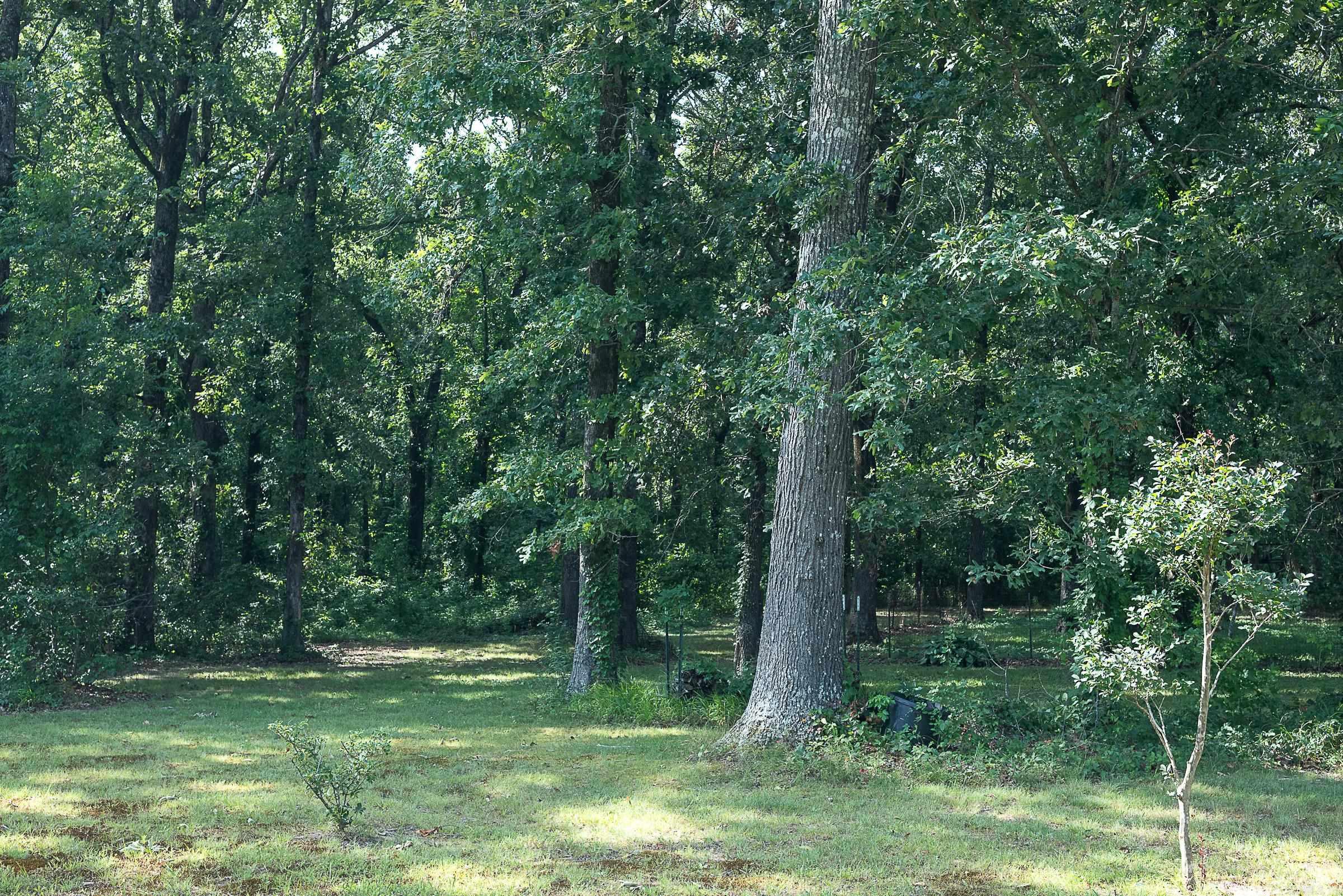 13717 Terry Lane Property Photo 27
