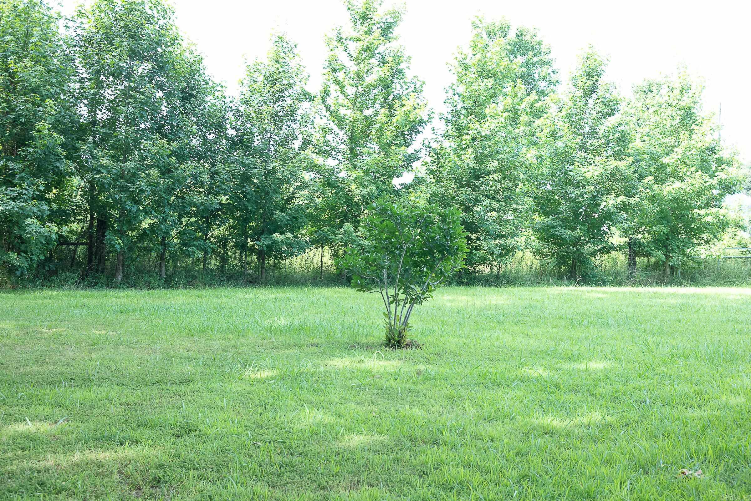 13717 Terry Lane Property Photo 28