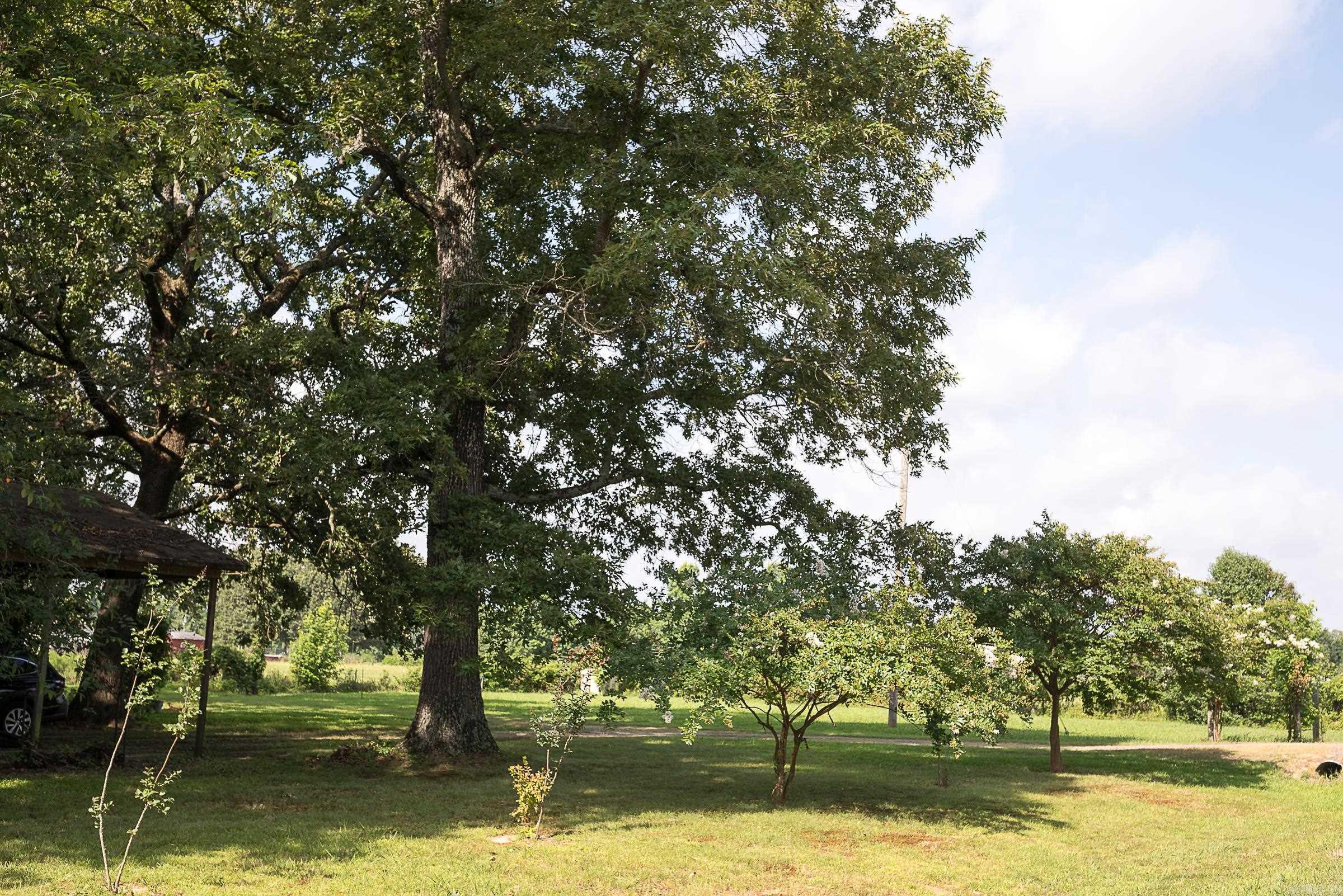 13717 Terry Lane Property Photo 29