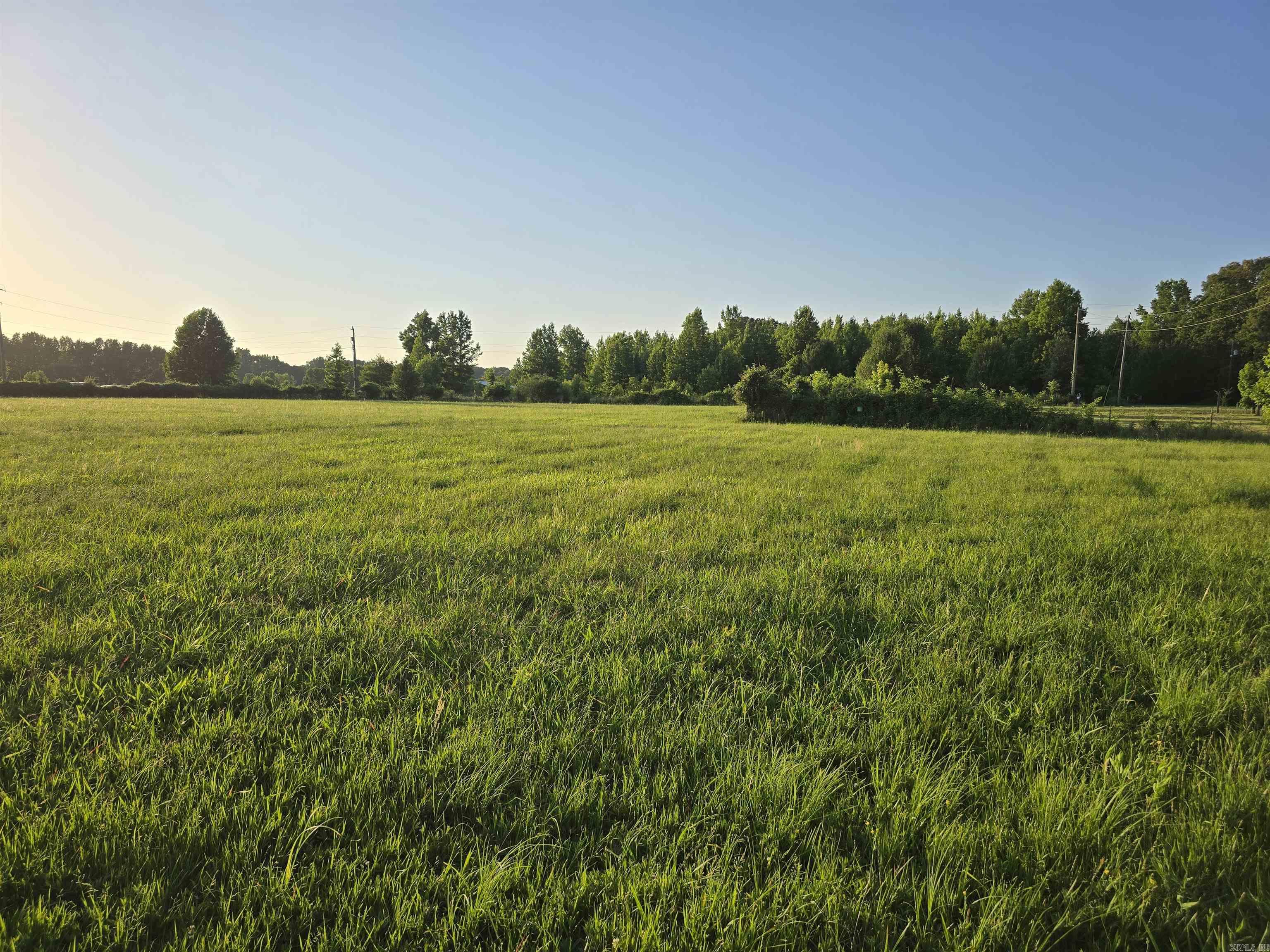 13717 Terry Lane Property Photo 31