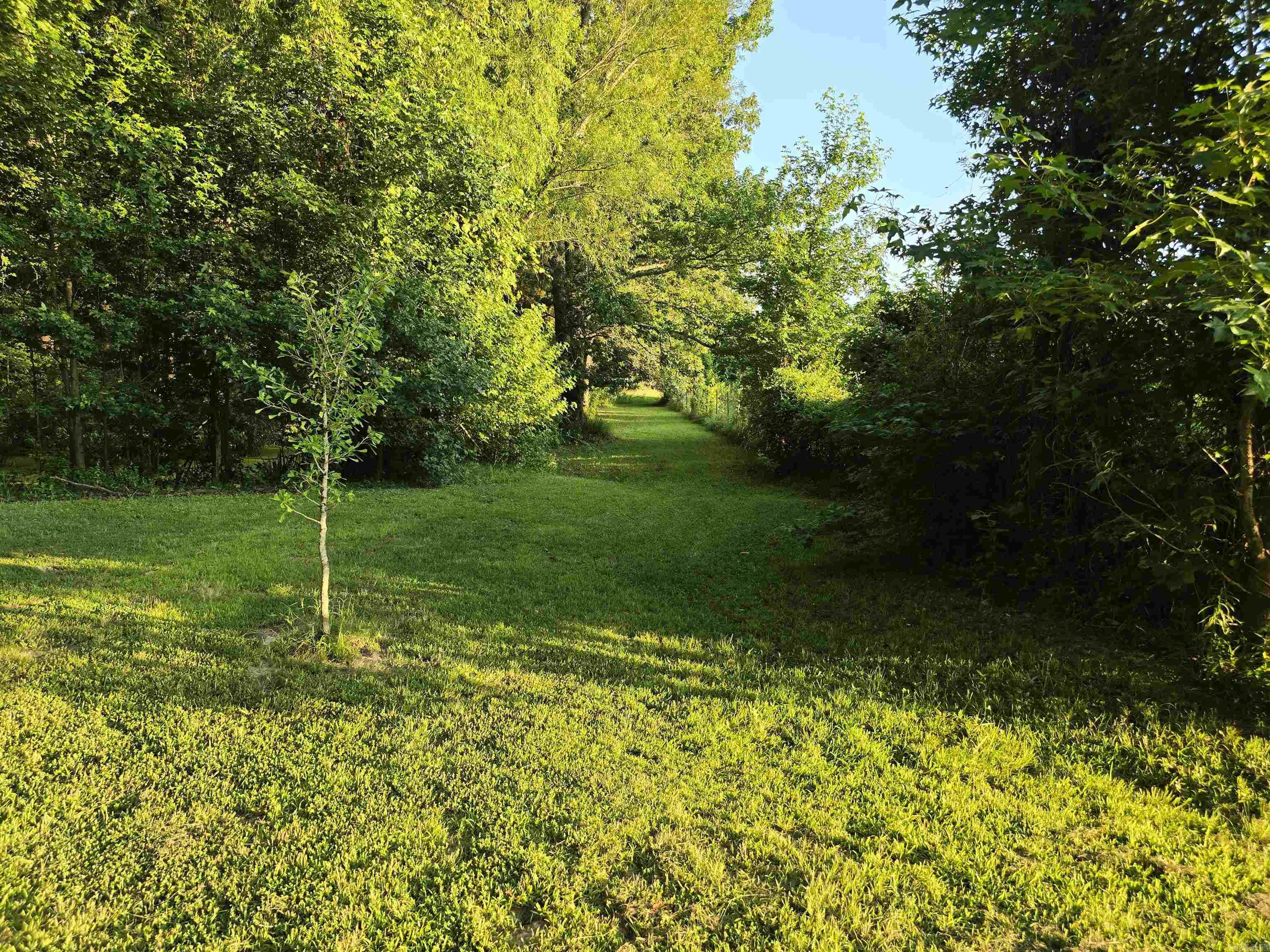 13717 Terry Lane Property Photo 35