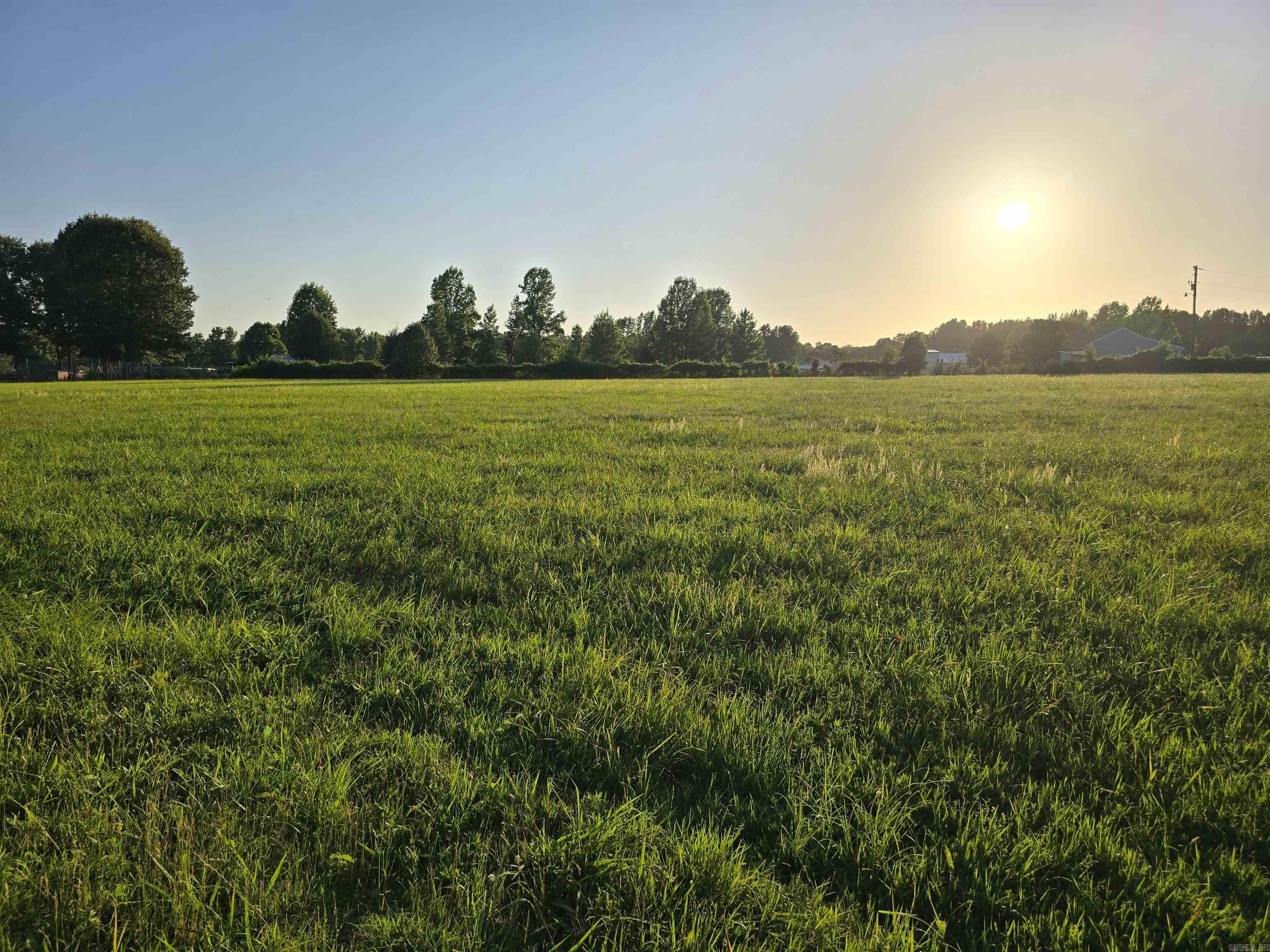 13717 Terry Lane Property Photo 37