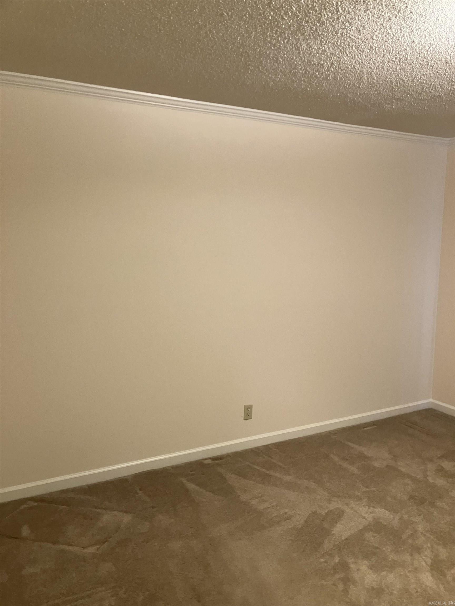 164 Carol Street Property Photo 22