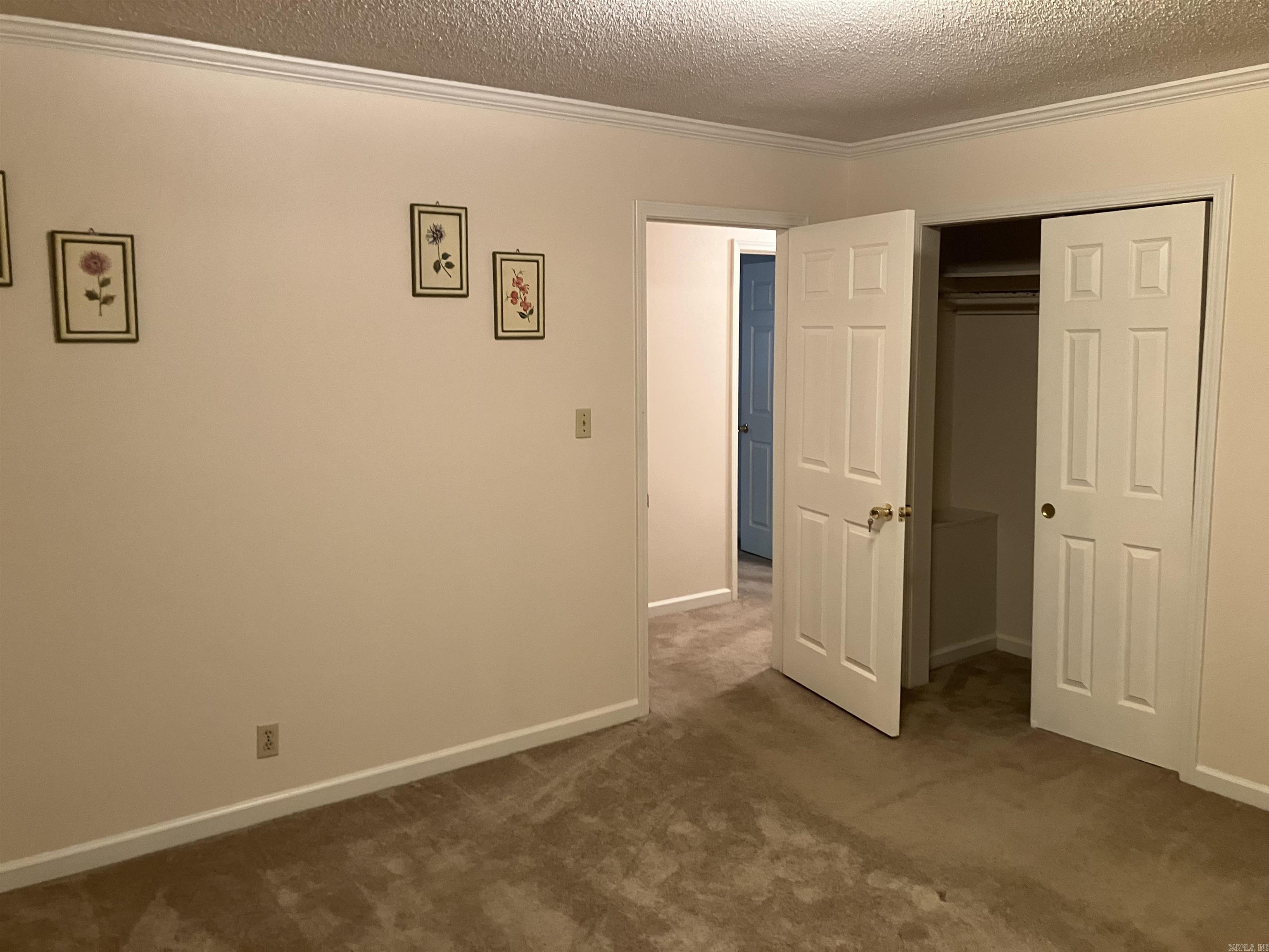 164 Carol Street Property Photo 26