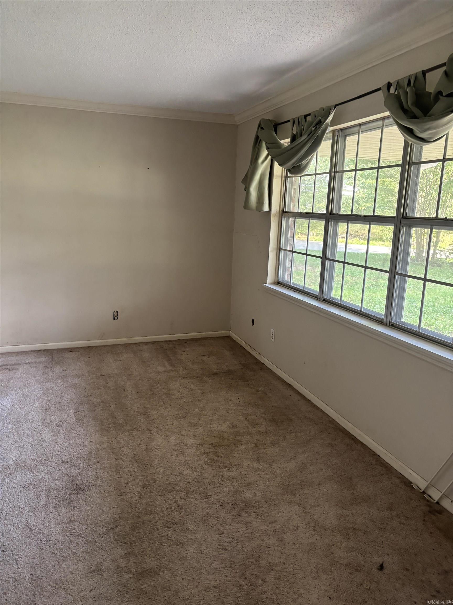 905 Shall Ct Property Photo 4