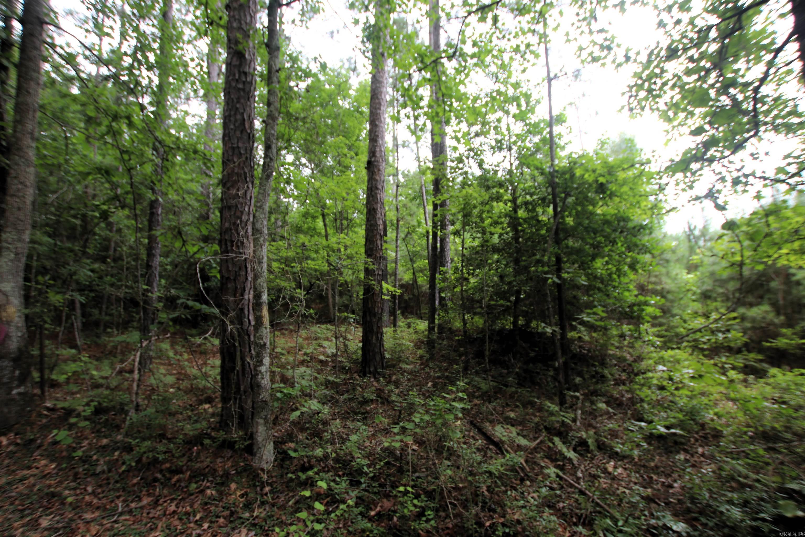 000 270 Highway Property Photo 9