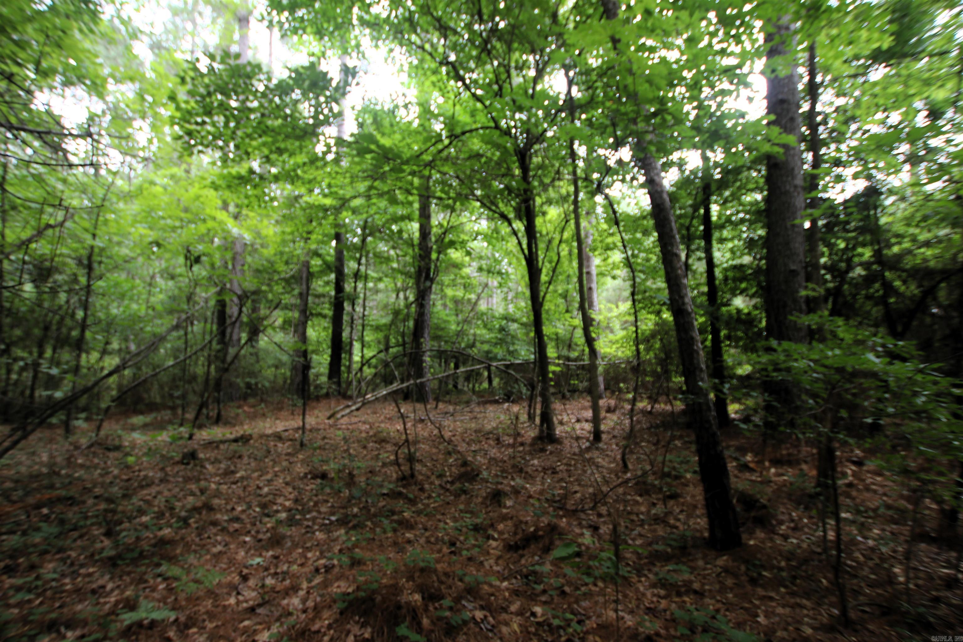000 270 Highway Property Photo 10