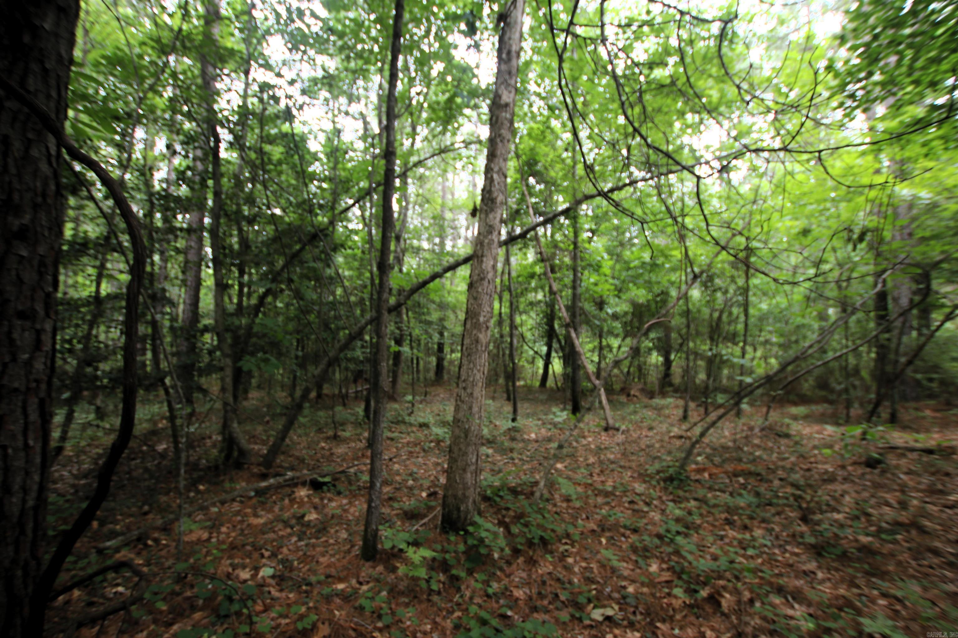 000 270 Highway Property Photo 11
