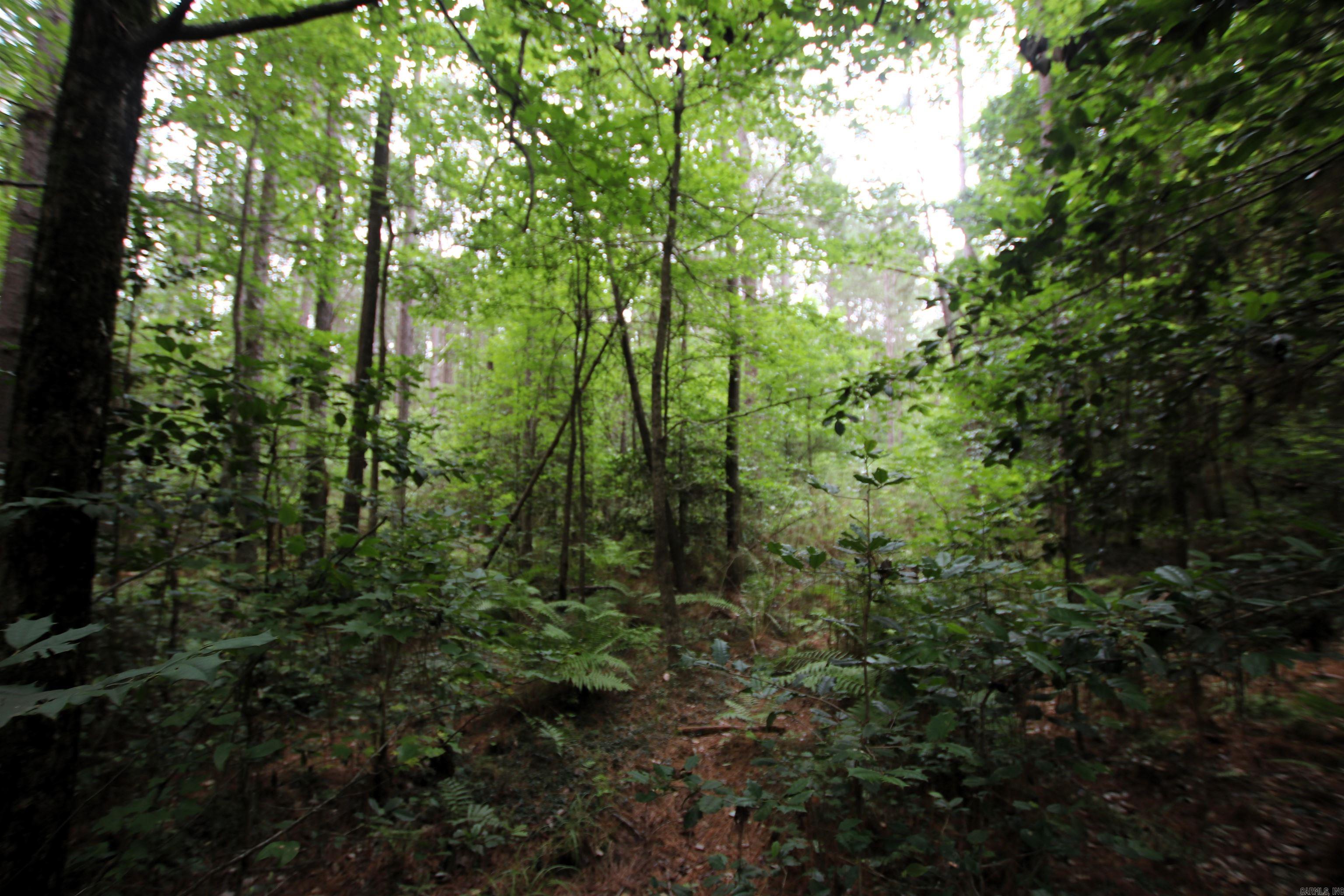 000 270 Highway Property Photo 12