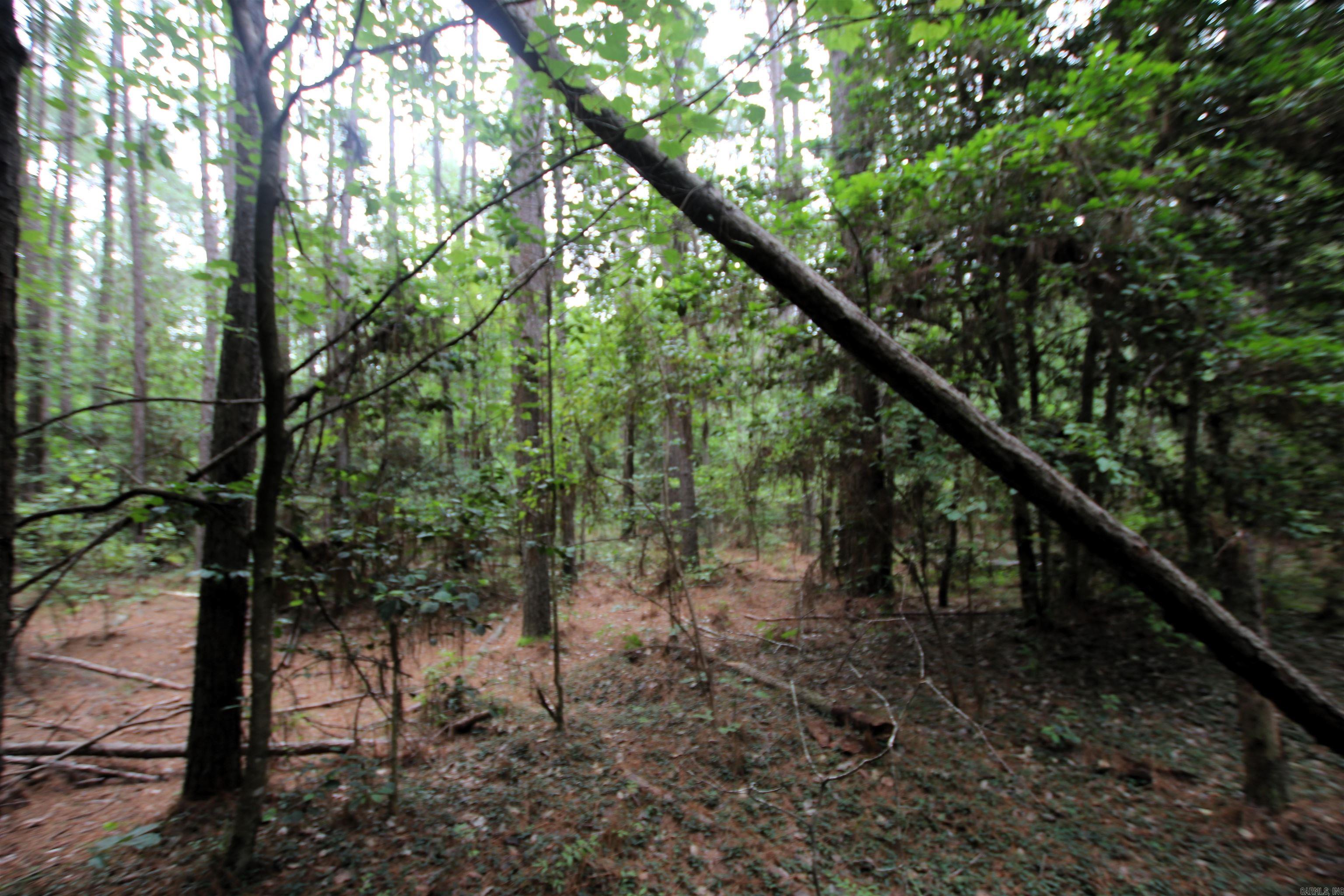 000 270 Highway Property Photo 15