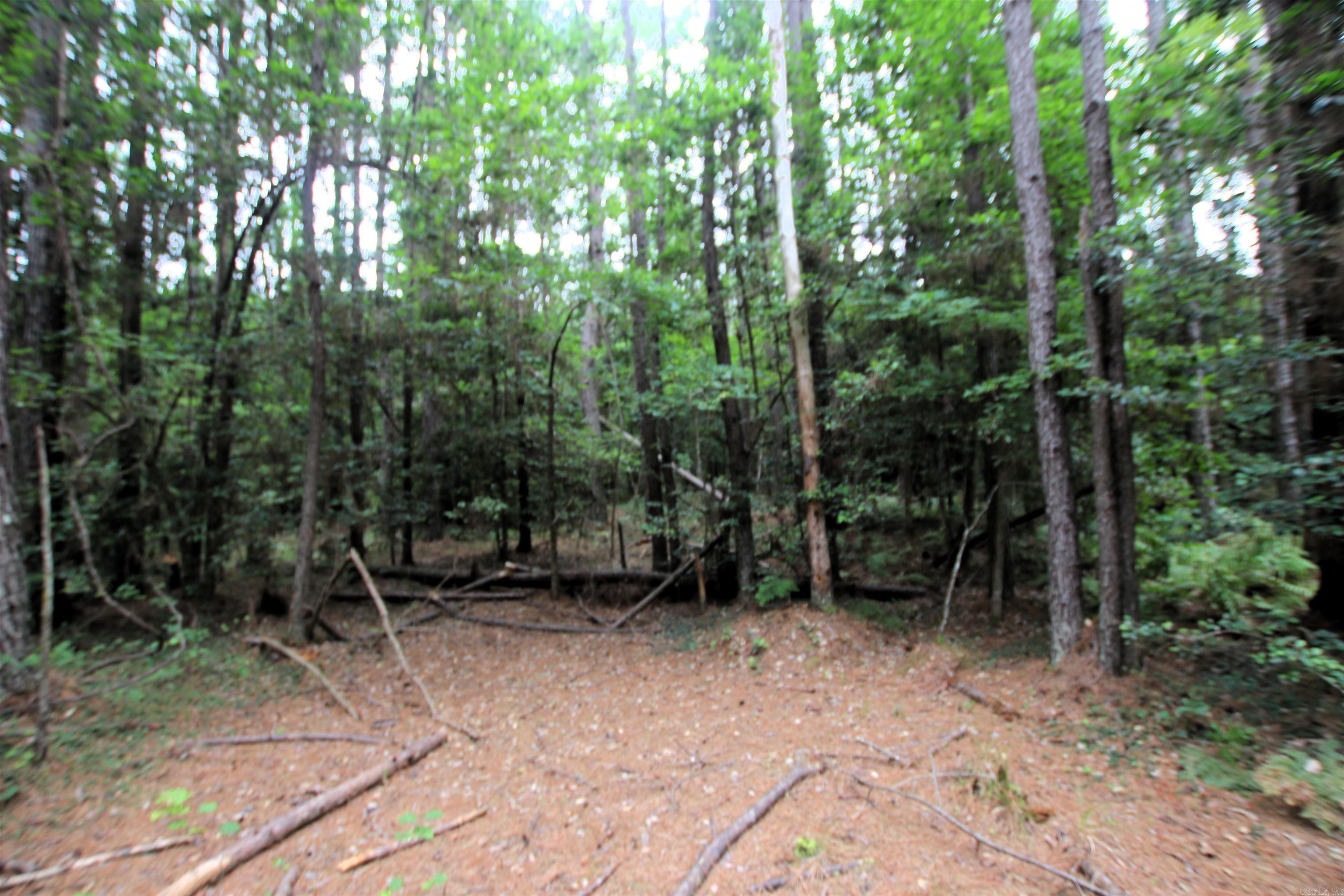 000 270 Highway Property Photo 16