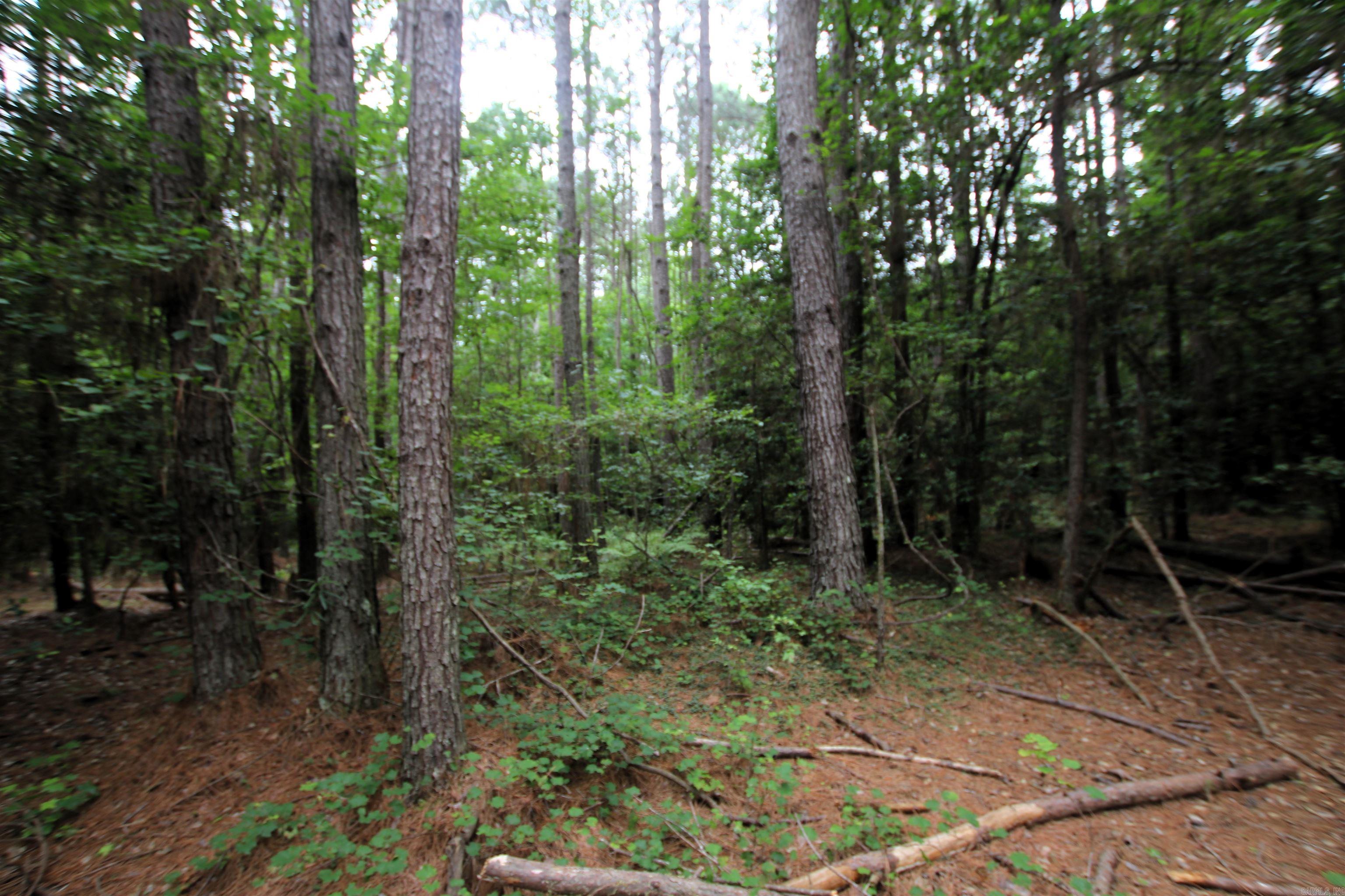 000 270 Highway Property Photo 17
