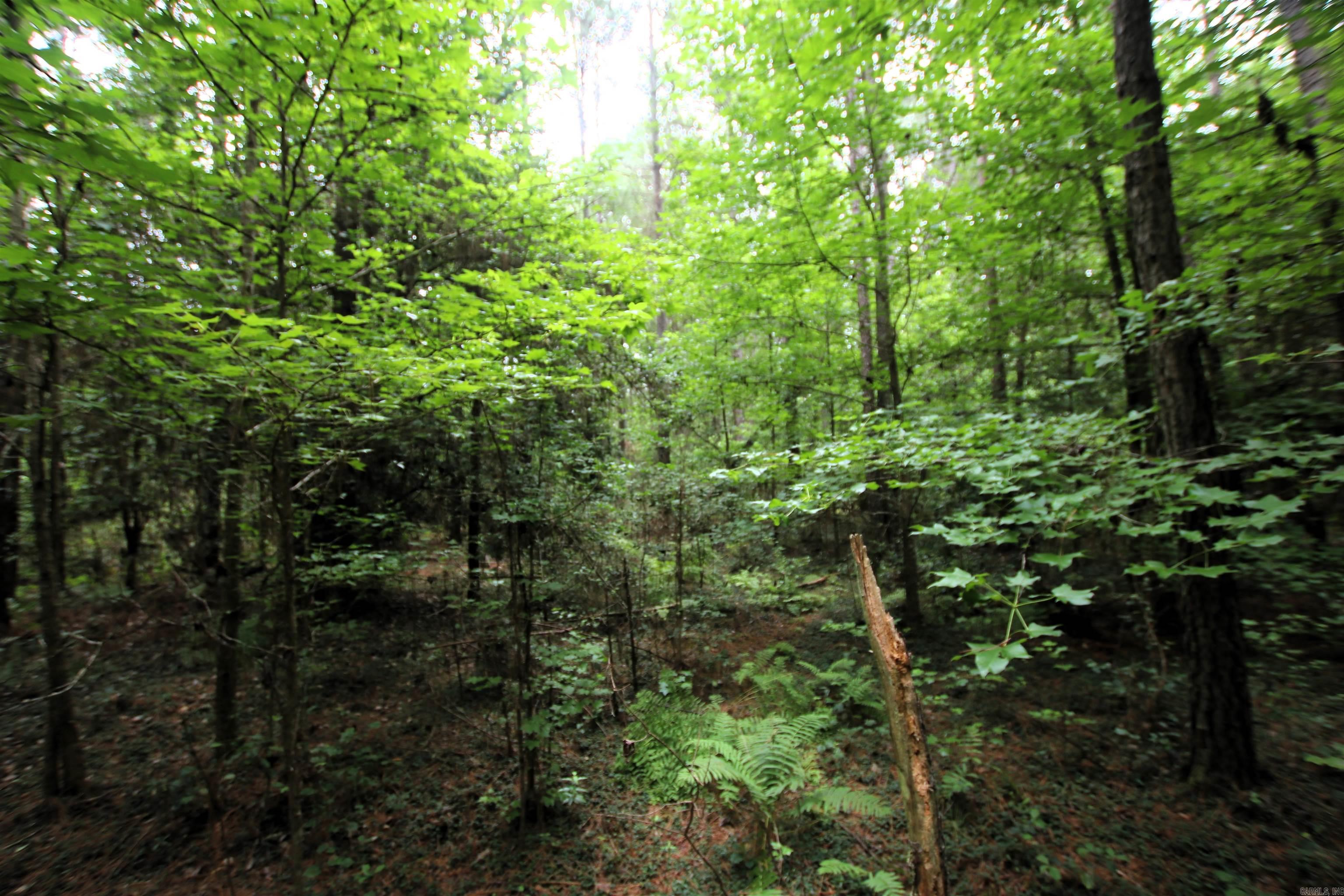 000 270 Highway Property Photo 19
