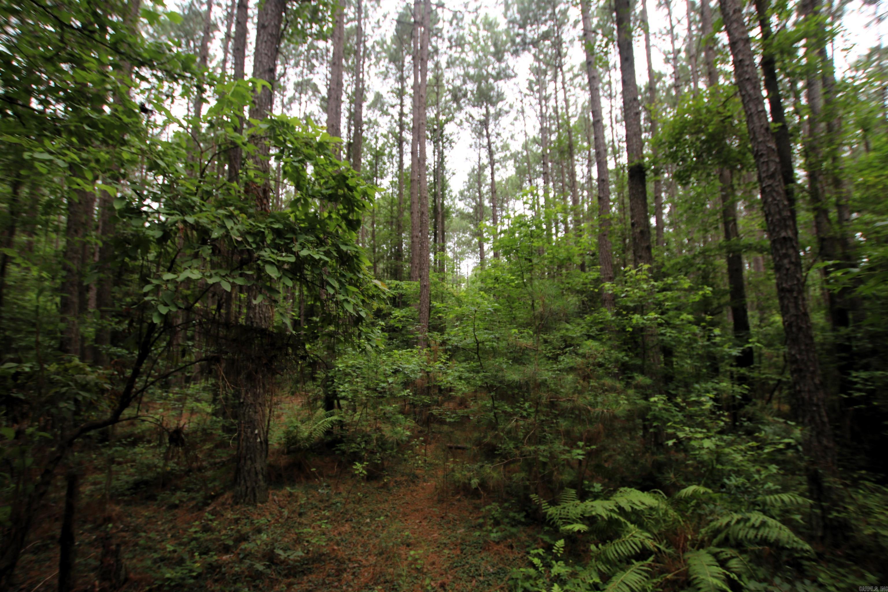 000 270 Highway Property Photo 21