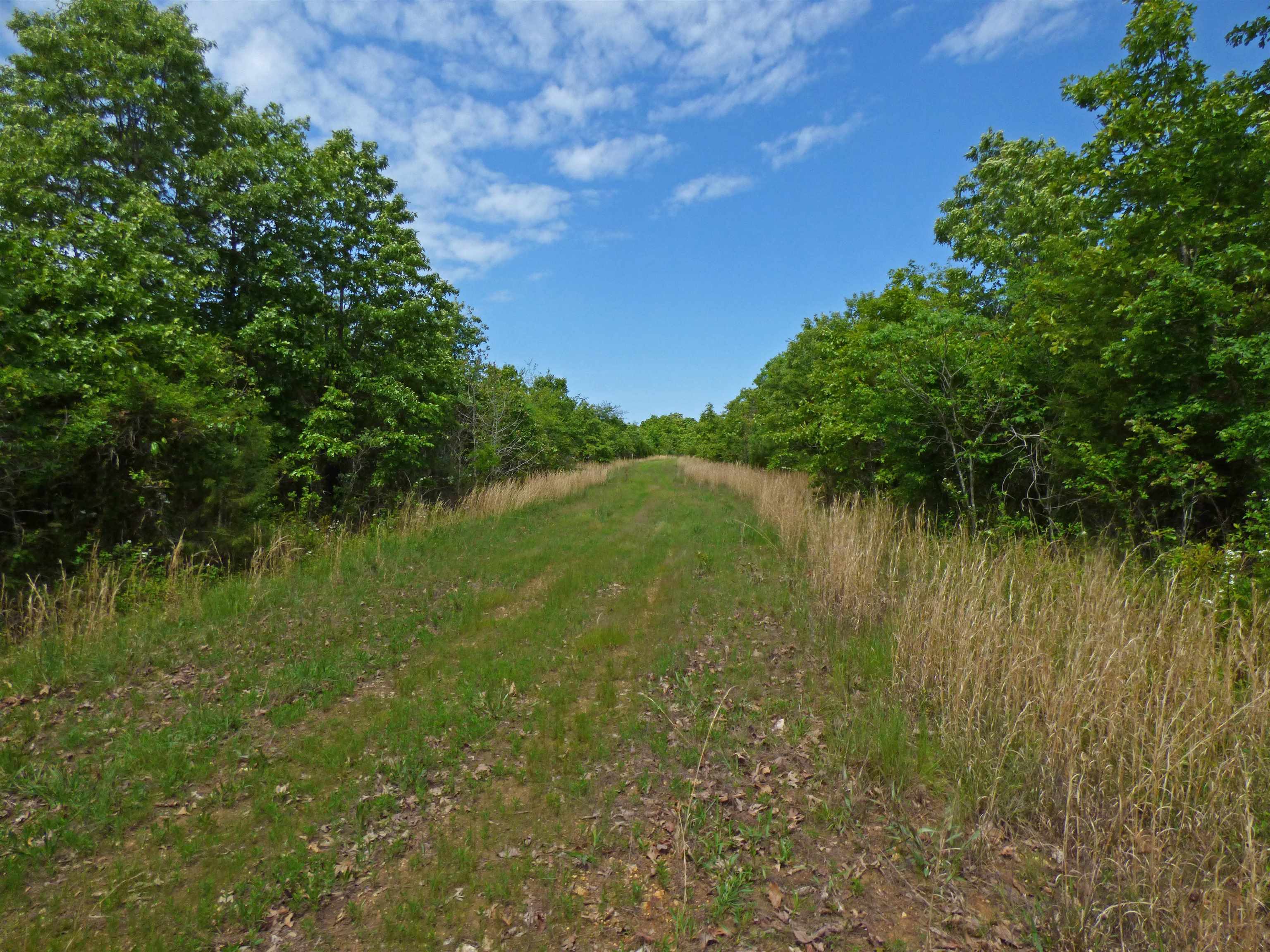 Herron Road Property Photo 1