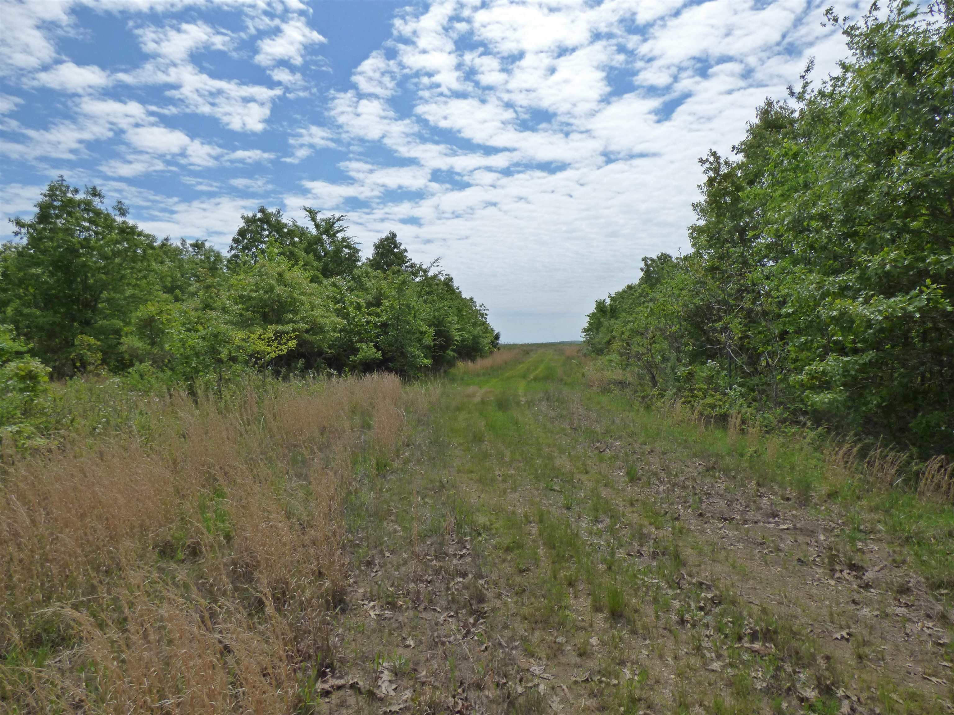 Herron Road Property Photo 2