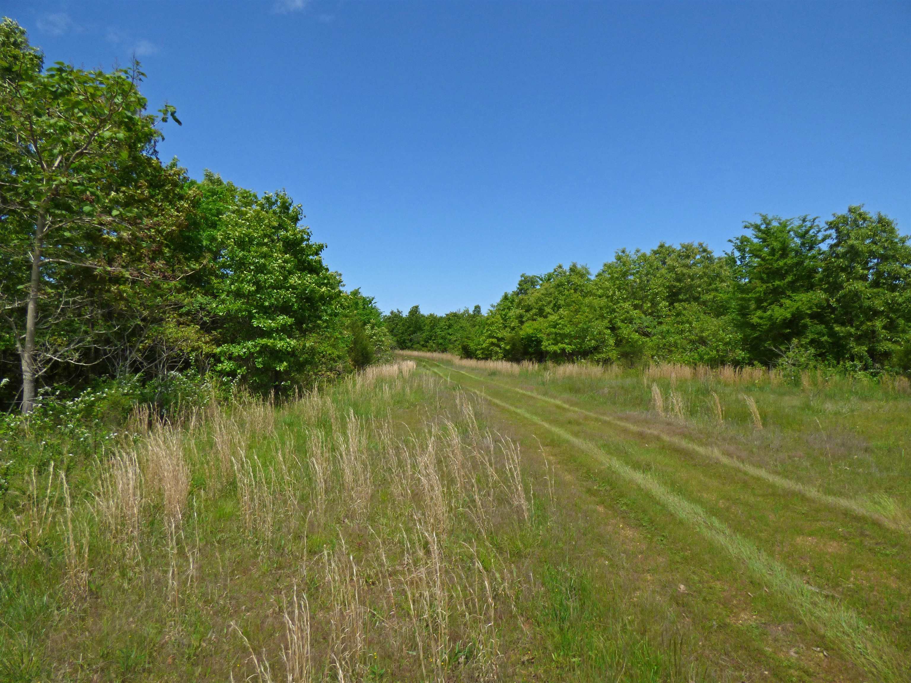 Herron Road Property Photo 3
