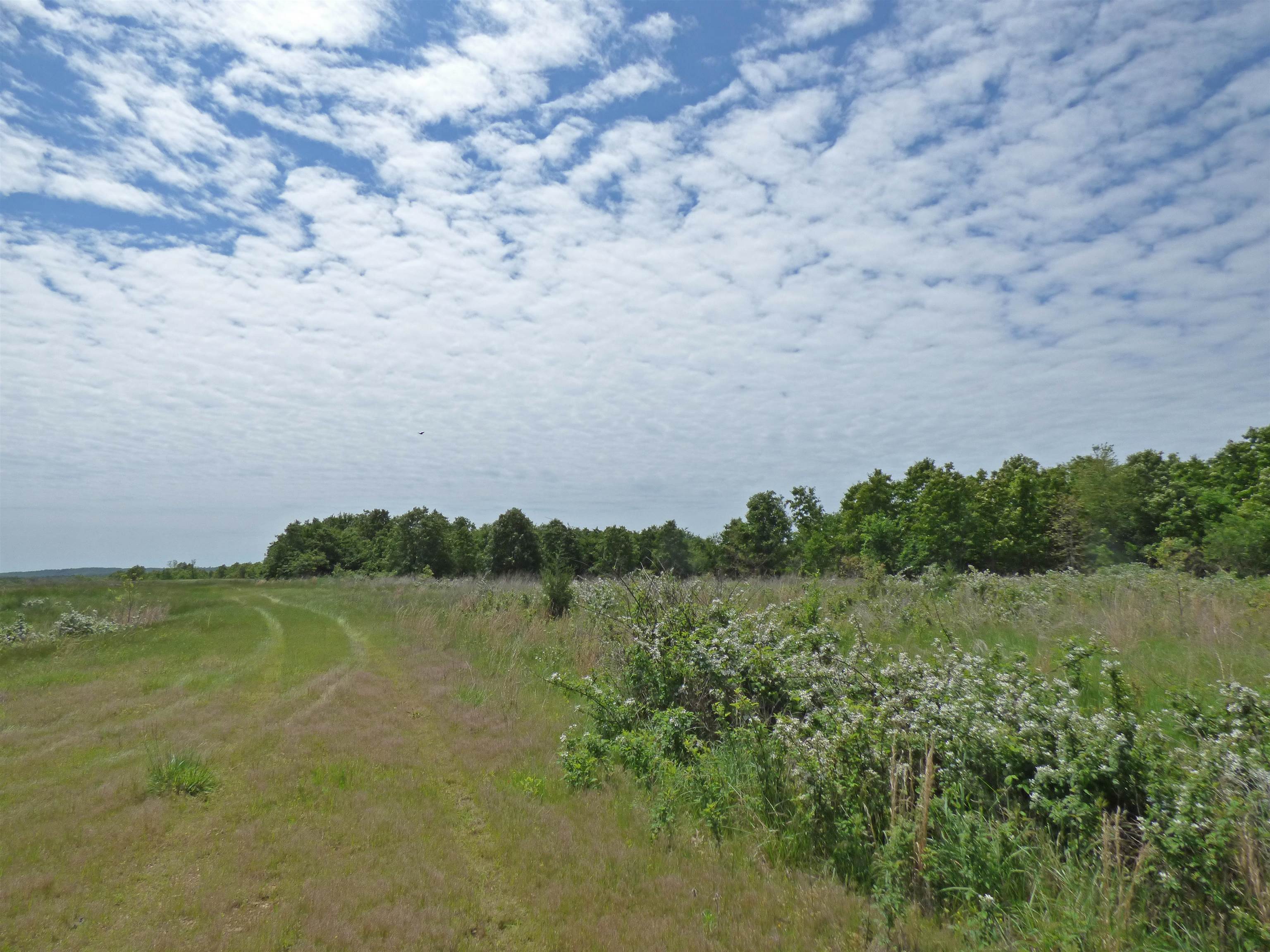 Herron Road Property Photo 4