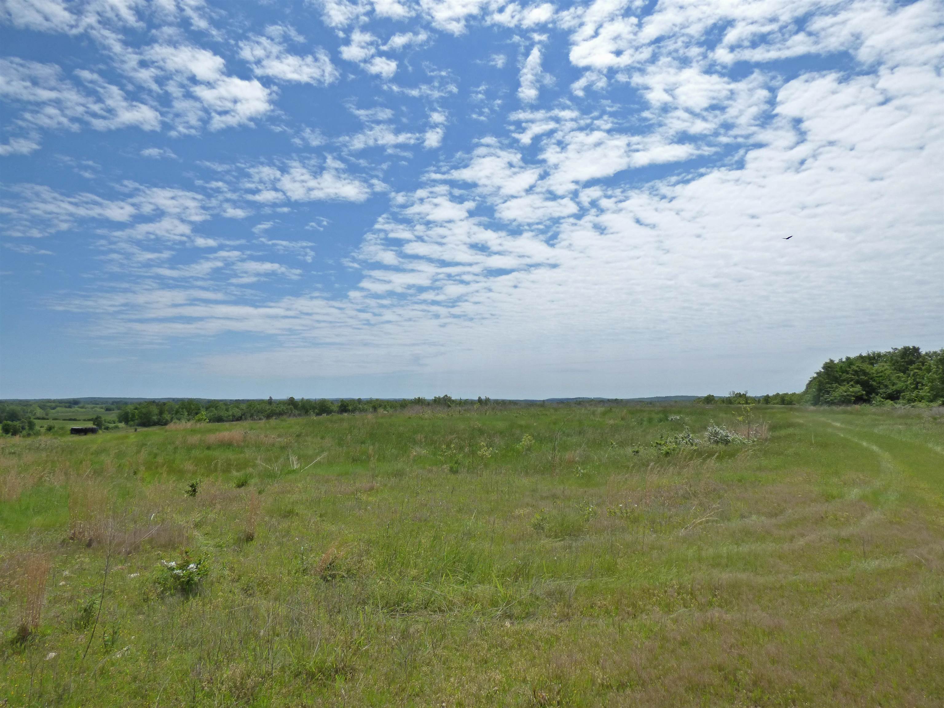Herron Road Property Photo 5