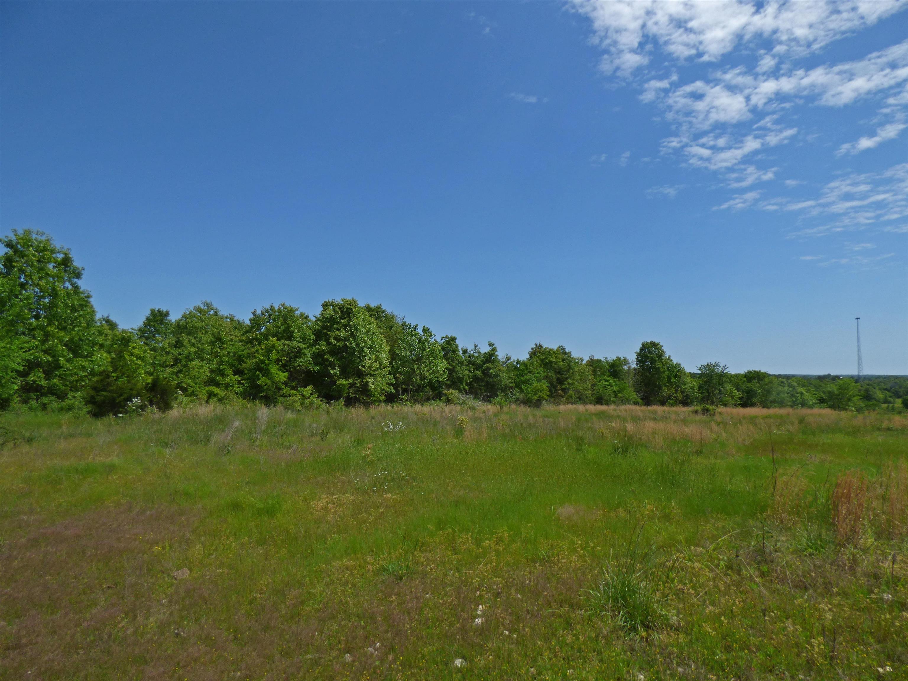 Herron Road Property Photo 6