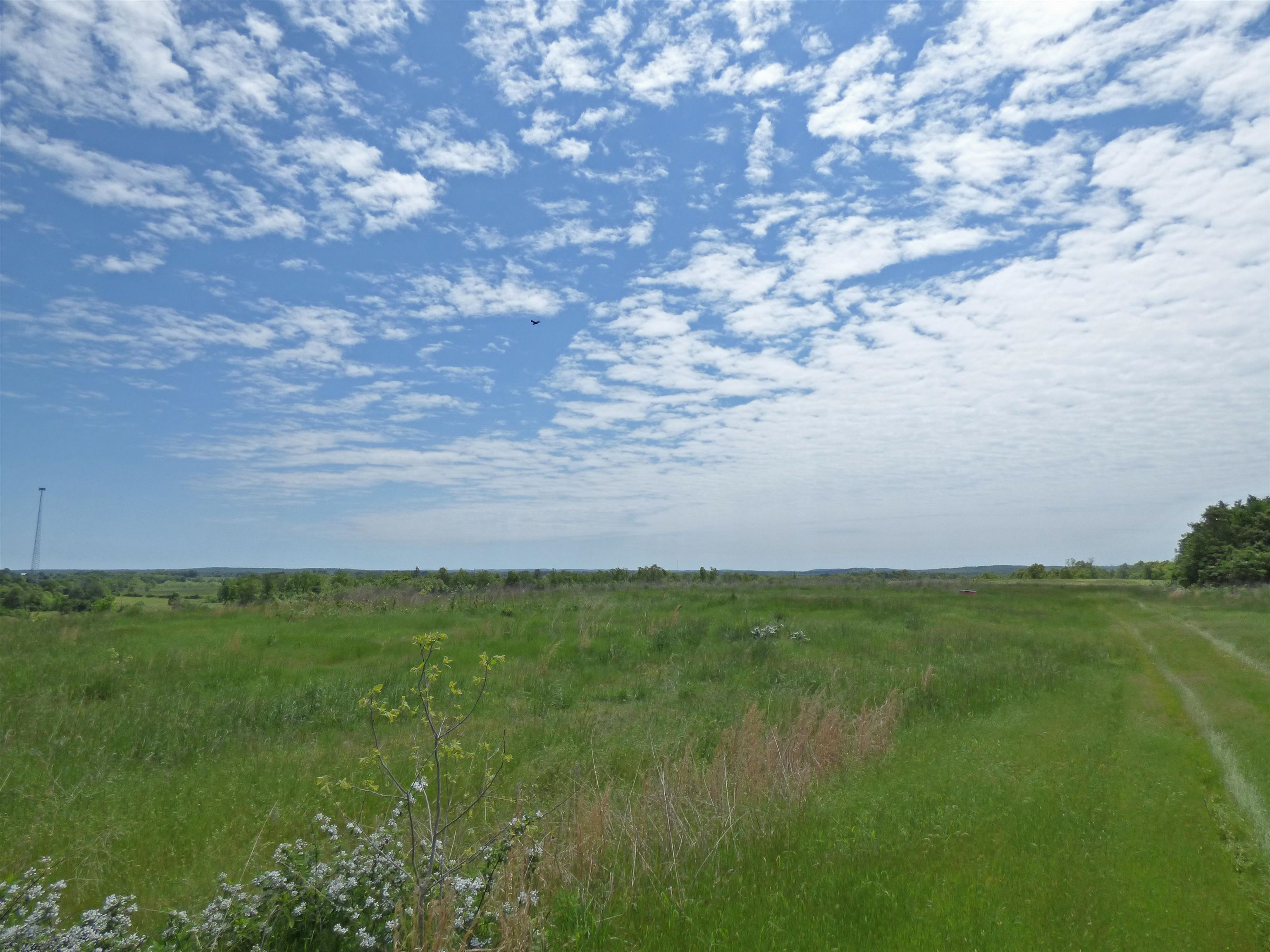 Herron Road Property Photo 7