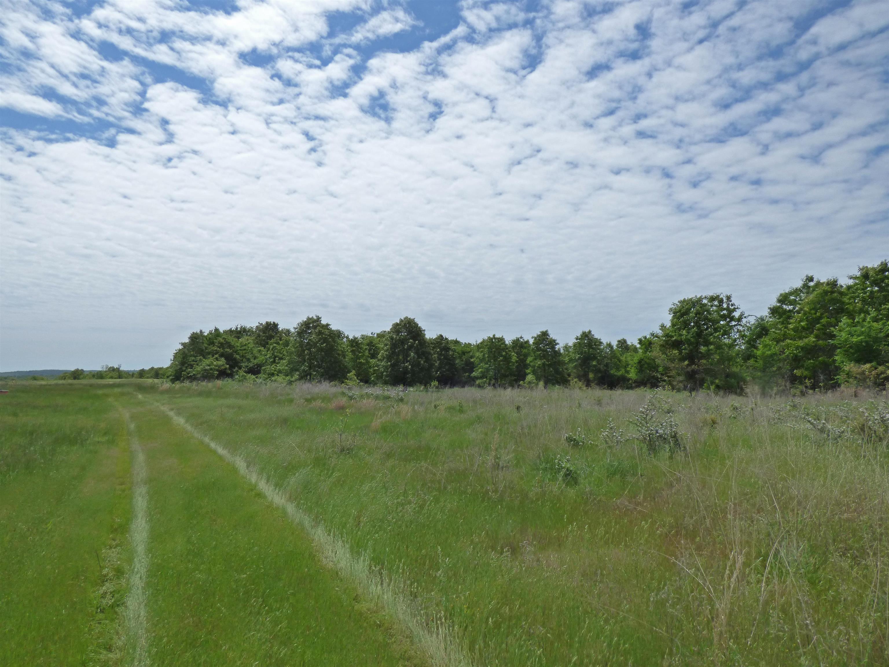 Herron Road Property Photo 8